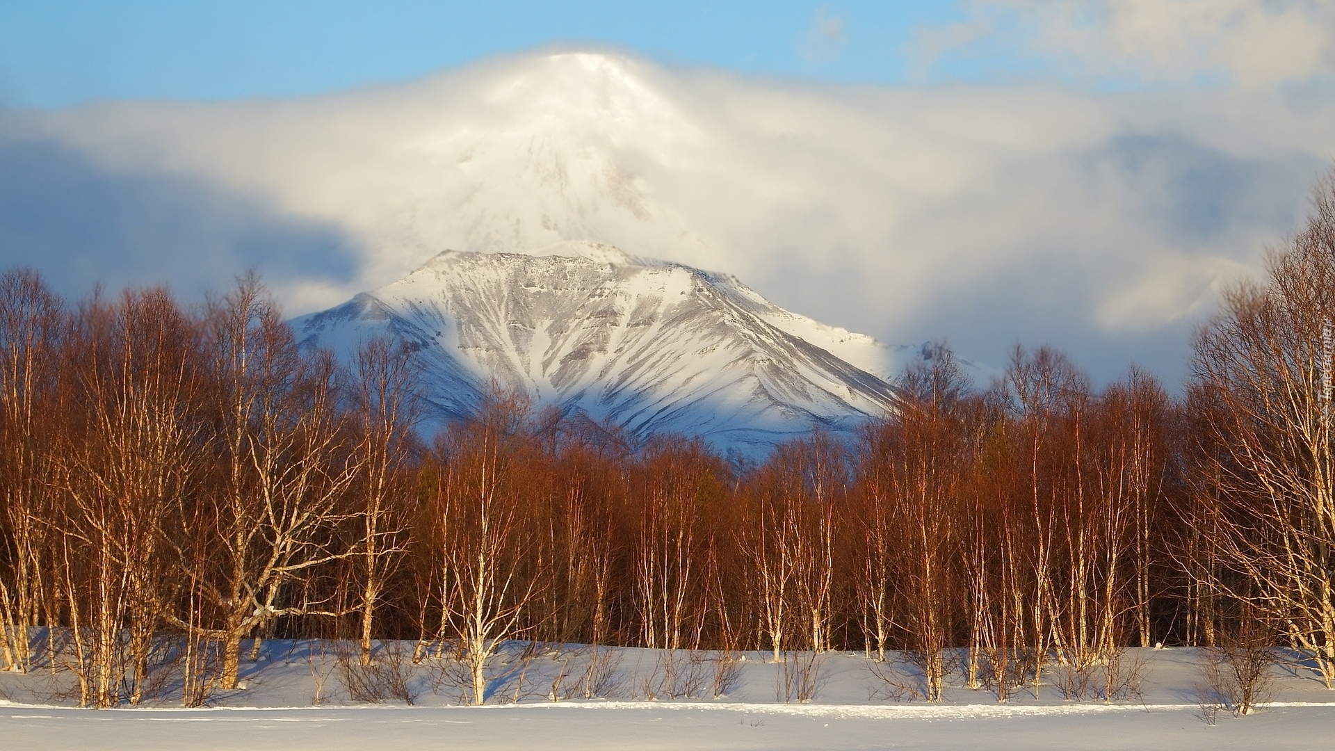 Zima, Śnieg, Drzewa, Wulkan, Awaczyńska Sopka, Kamczatka, Rosja