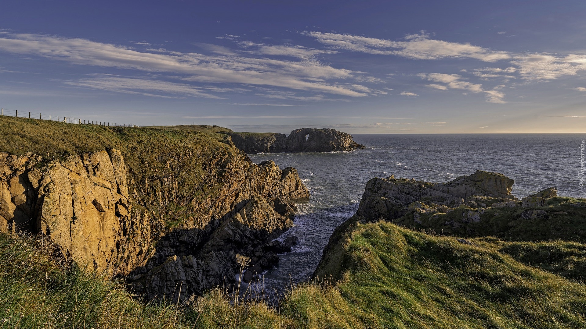 Morze, Skały, Klif, Trawa, Wybrzeże, Aberdeenshire, Szkocja