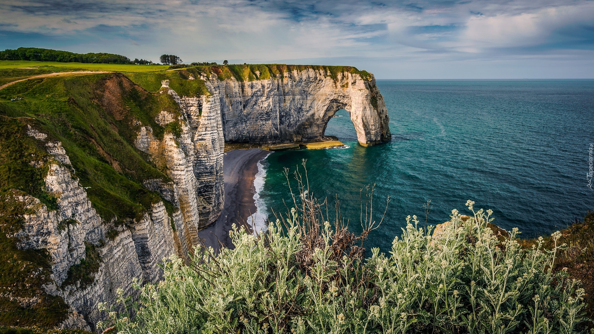 Wybrzeże Alabastrowe, Cote d Albatre, Klify, Skały, Morze, Etretat, Normandia, Francja