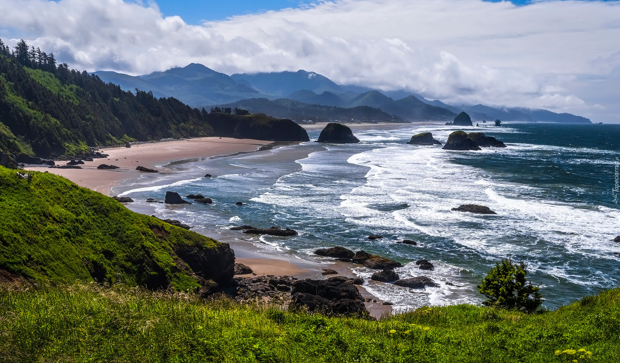 Morze, Drzewa, Góry, Skały, Rośliny, Plaża, Park stanowy Ecola, Cannon Beach, Oregon, Stany Zjednoczone