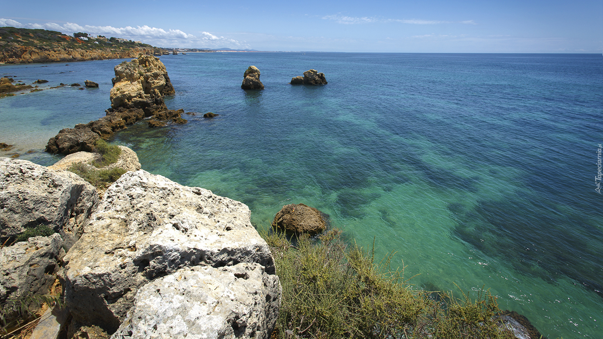 Portugalia, Region Algarve, Wybrzeże, Morze, Skały, Roślinność