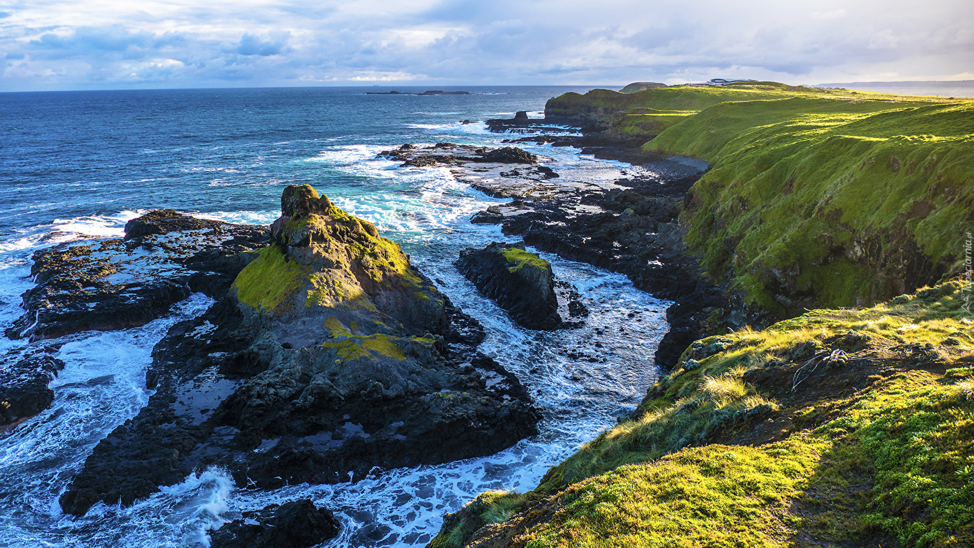 Wybrzeże, Morze, Wyspa Phillip Island, Stan Wiktoria, Australia, Skały, Roślinność