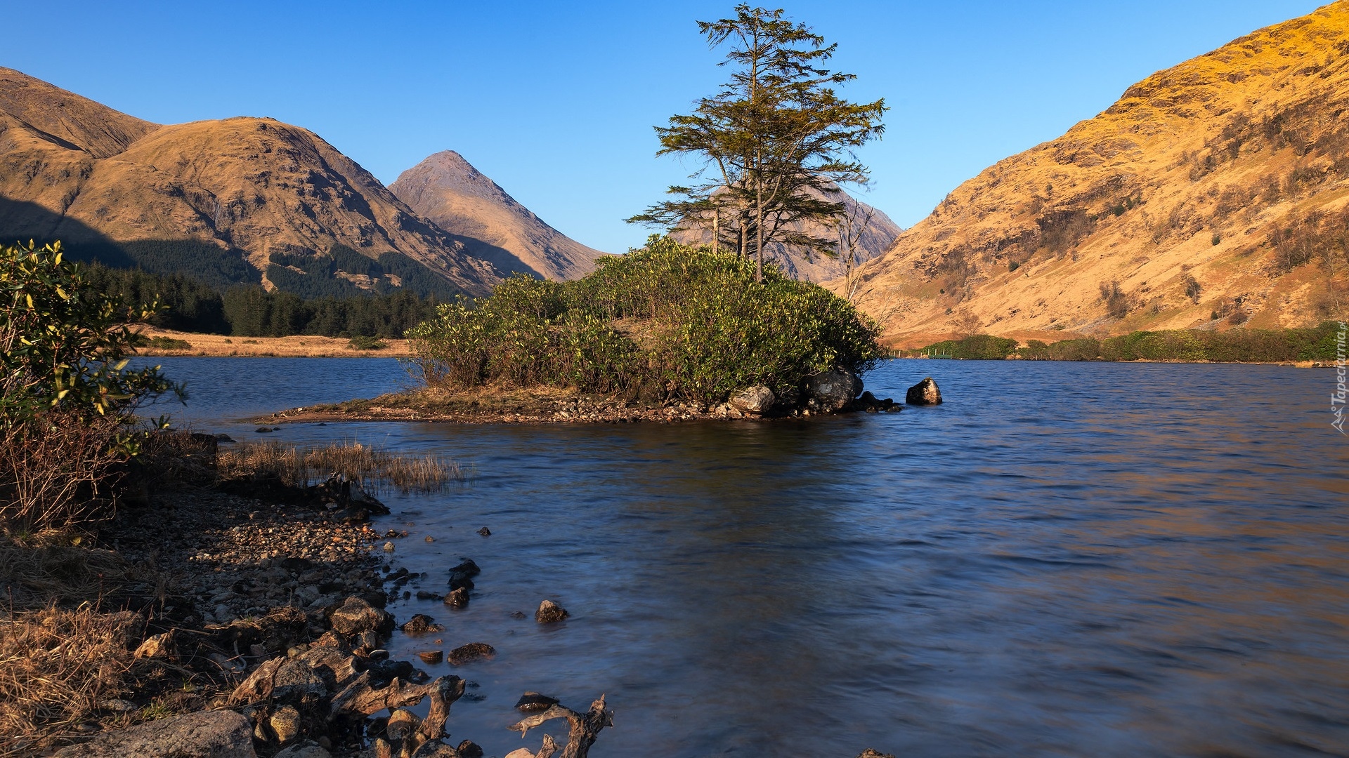 Góry, Rzeka, River Etive, Wysepka, Drzewa, Szkocja