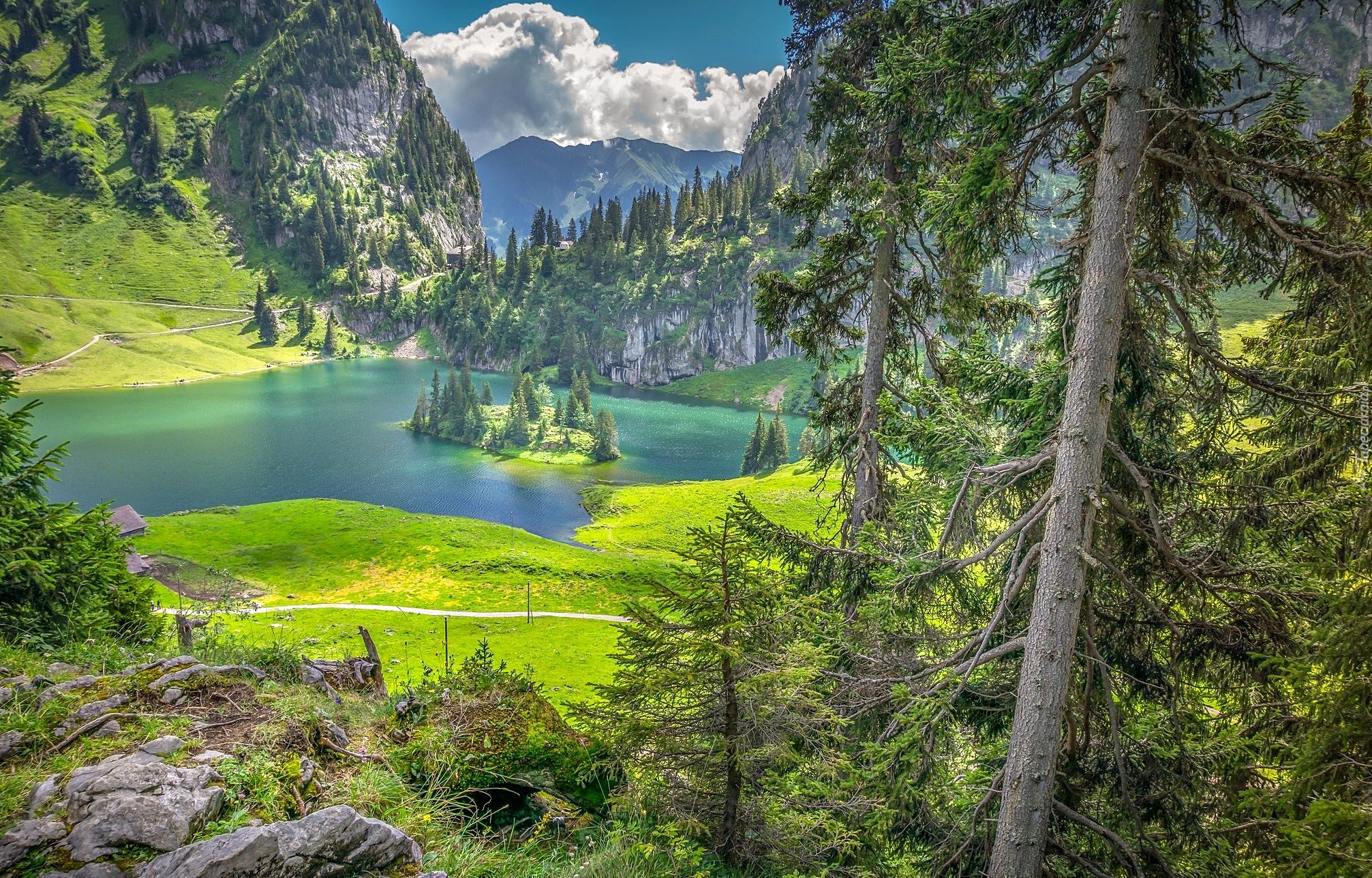 Szwajcaria, Góry, Alpy Berneńskie, Jezioro Hinterstockensee, Las, Wyspa, Światło