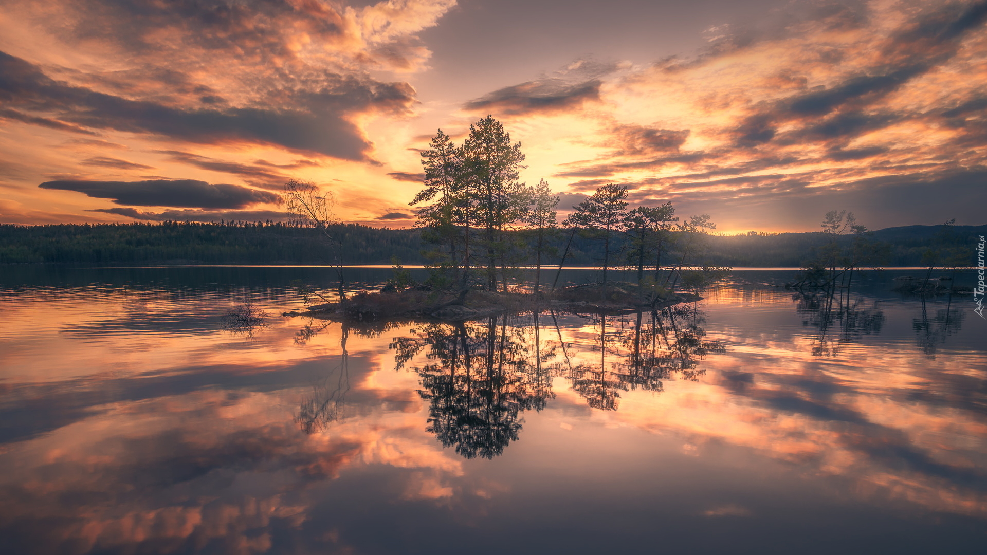 Jezioro, Wysepka, Drzewa, Zachód słońca, Chmury, Gmina Ringerike, Norwegia