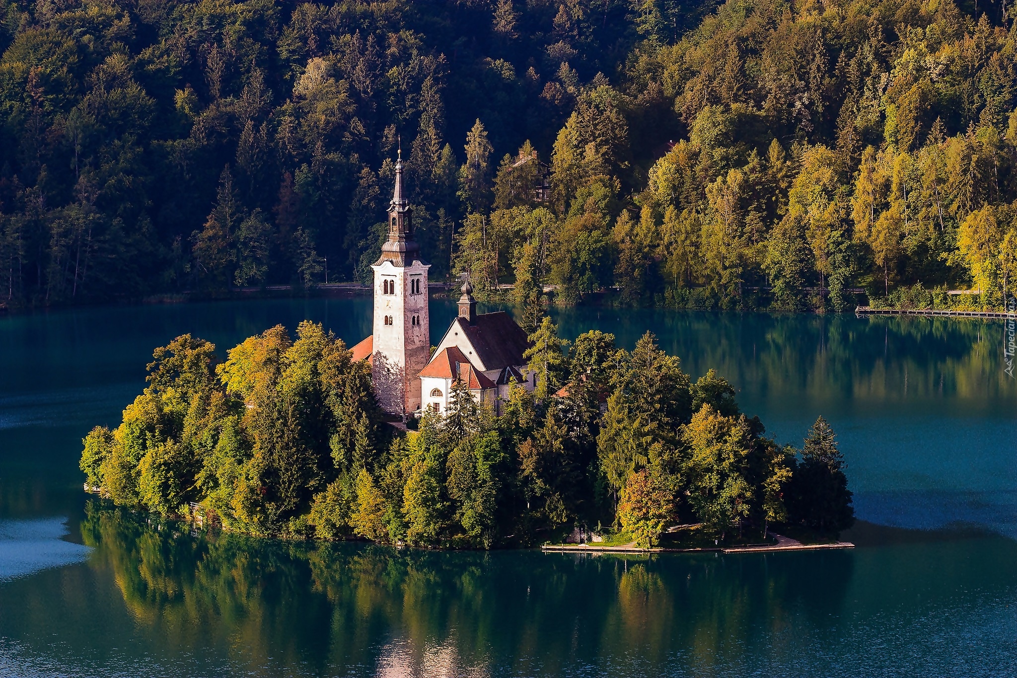 Słowenia, Jezioro Bled, Wyspa Blejski Otok, Kościół Zwiastowania Marii Panny, Jesień, Las, Drzewa