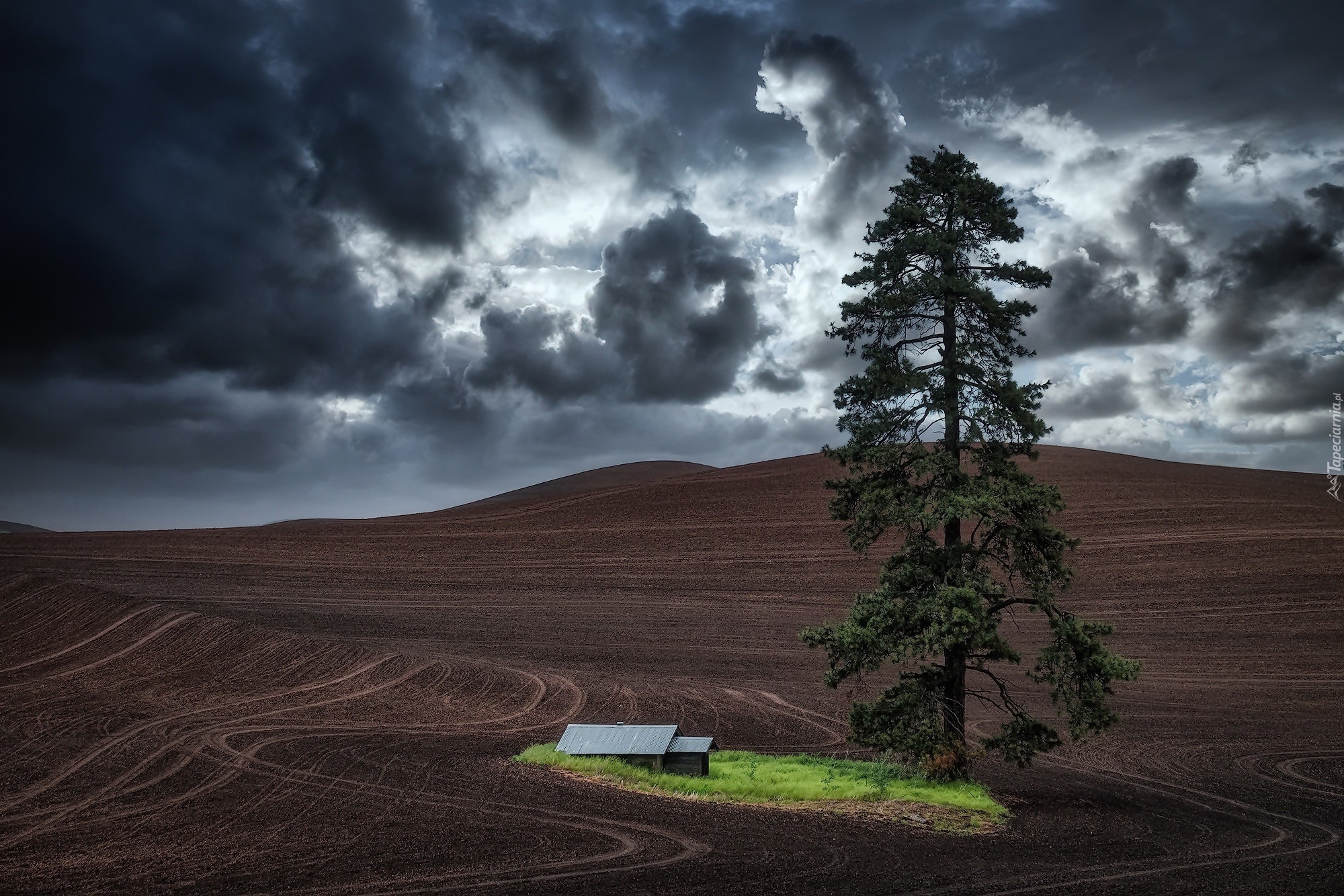 Ciemne, Chmury, Pola, Ślady, Drzewo, Sosna, Budynek, Region Palouse, Stan Waszyngton, Stany Zjednoczone