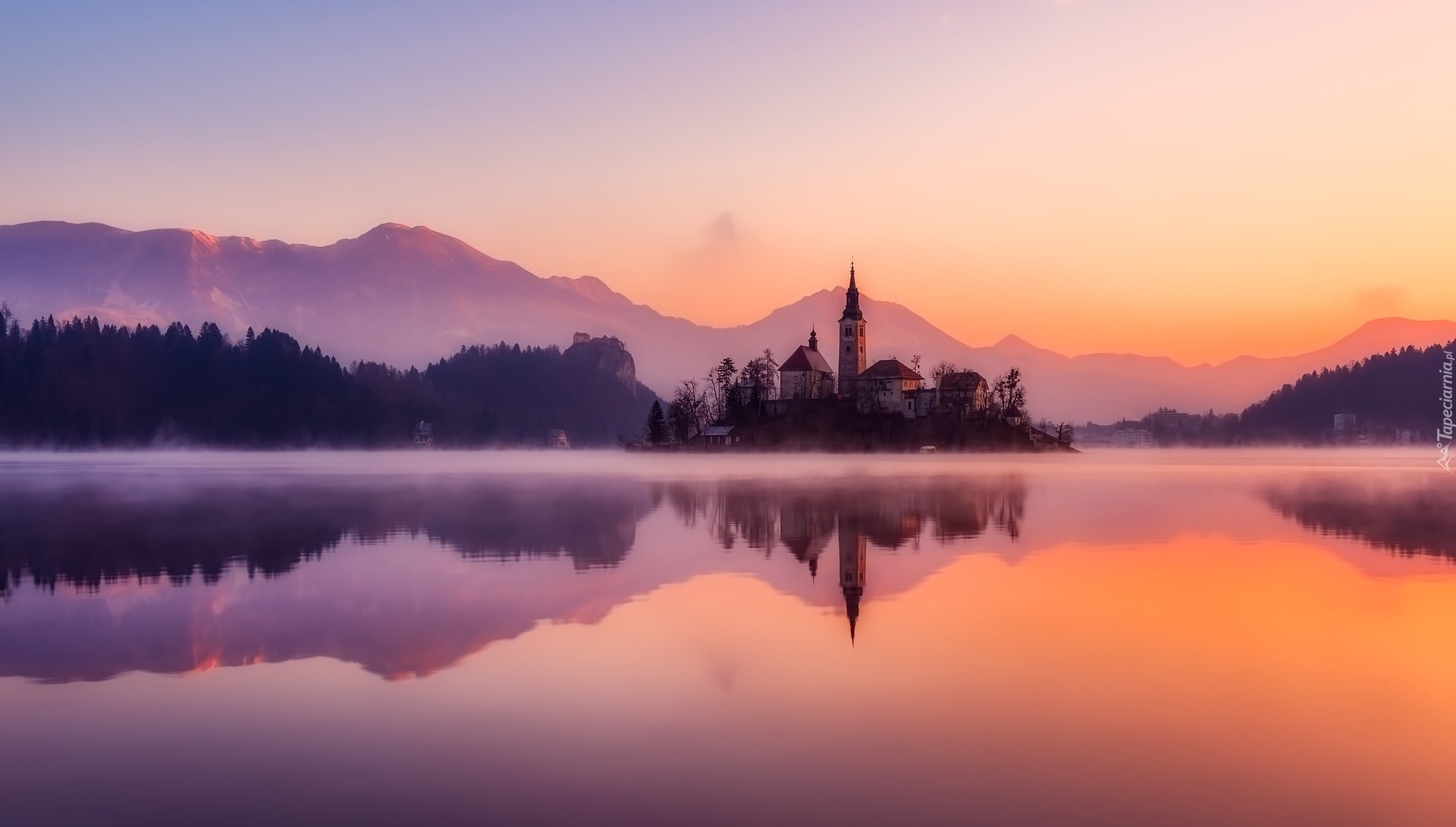 Słowenia, Jezioro Bled, Wyspa Blejski Otok, Mgła, Drzewa