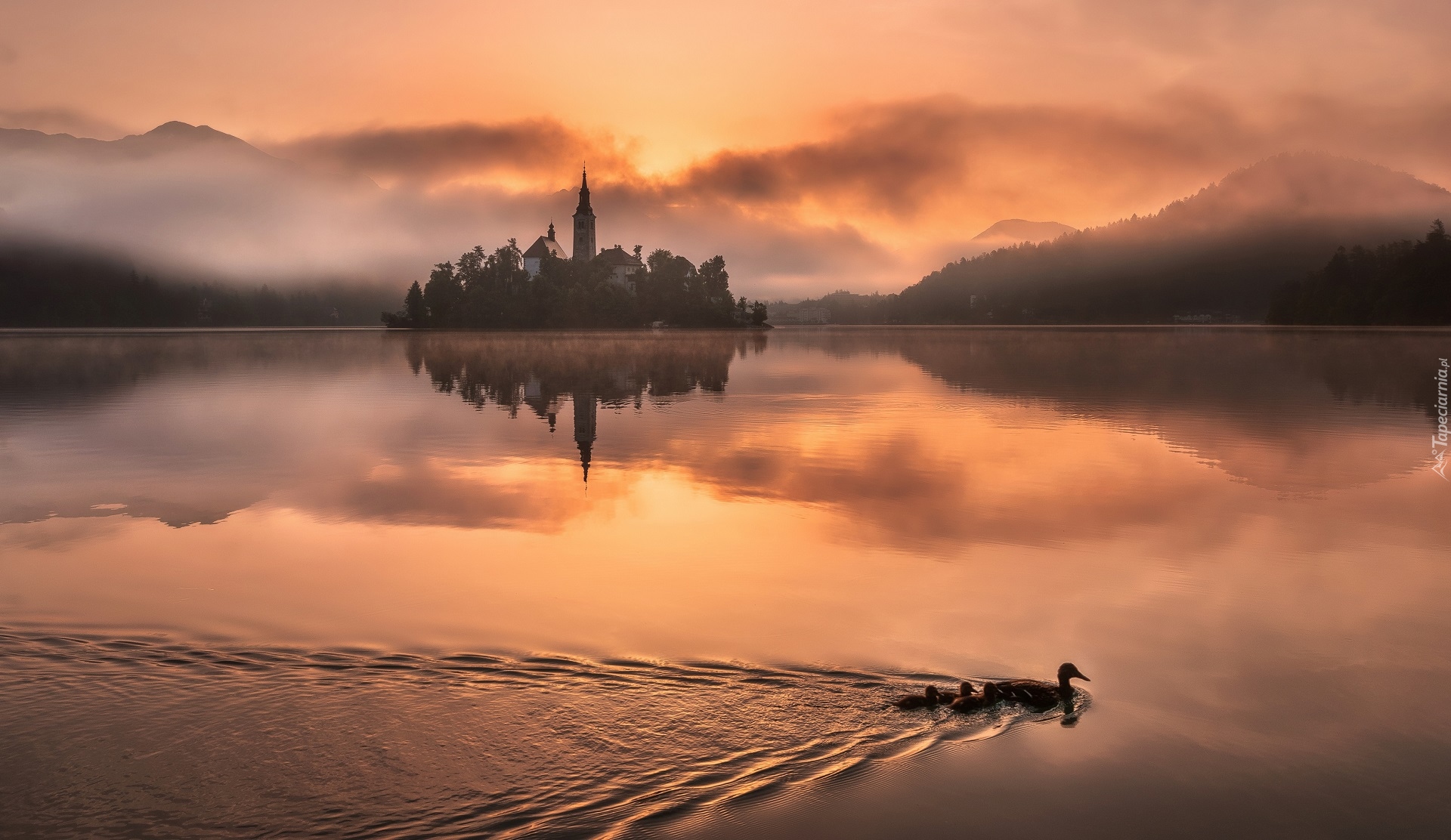 Słowenia, Jezioro Bled, Wyspa Blejski Otok, Kościół Zwiastowania Marii Panny, Góry Alpy Julijskie, Mgła, Kaczki, Odbicie