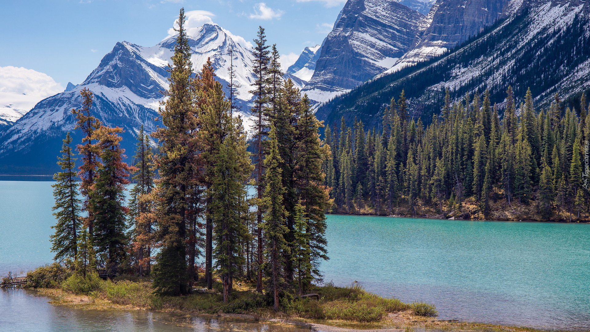 Kanada, Alberta, Park Narodowy Jasper, Góry, Jezioro Maligne, Wyspa Ducha, Drzewa