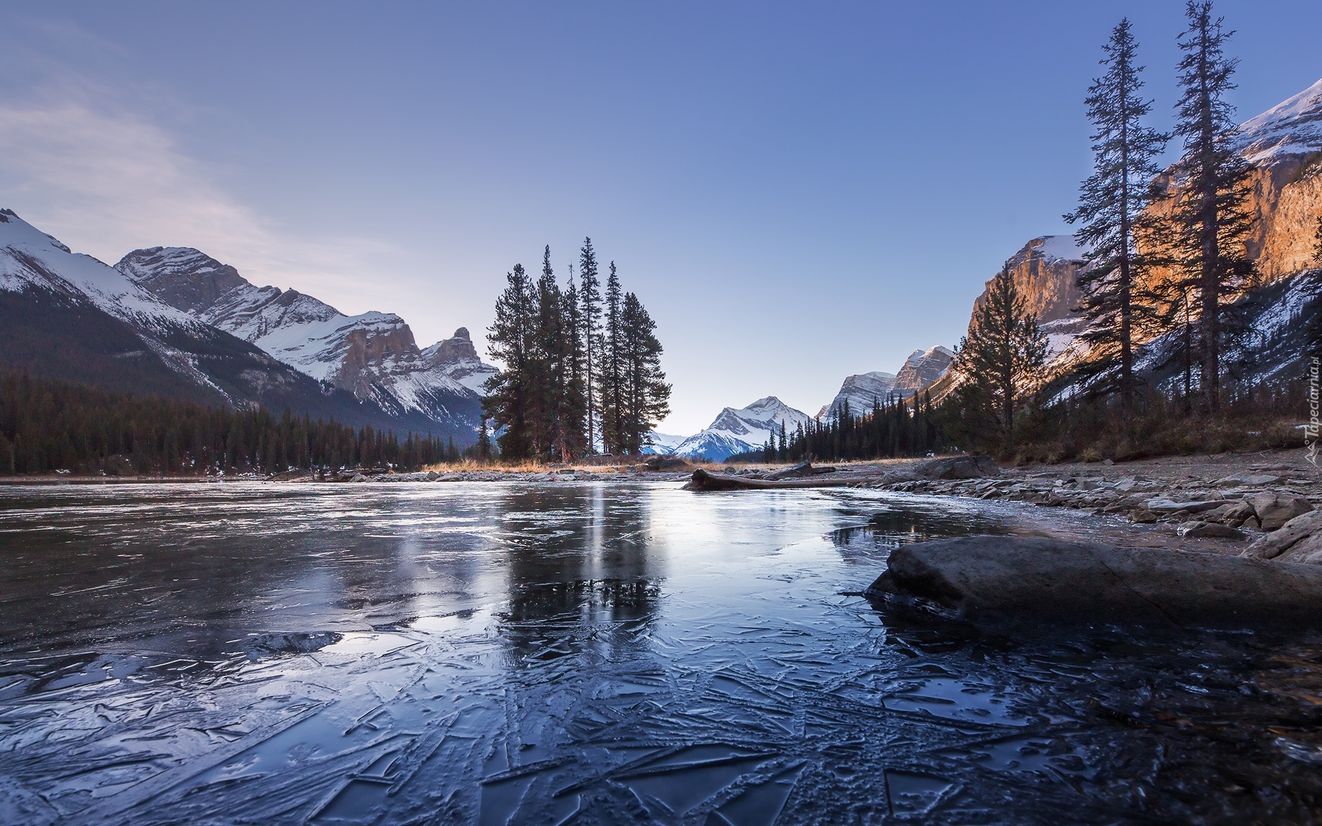 Kanada, Prowincja Alberta, Park Narodowy Jasper, Góry, Jezioro Maligne, Wyspa Ducha, Drzewa