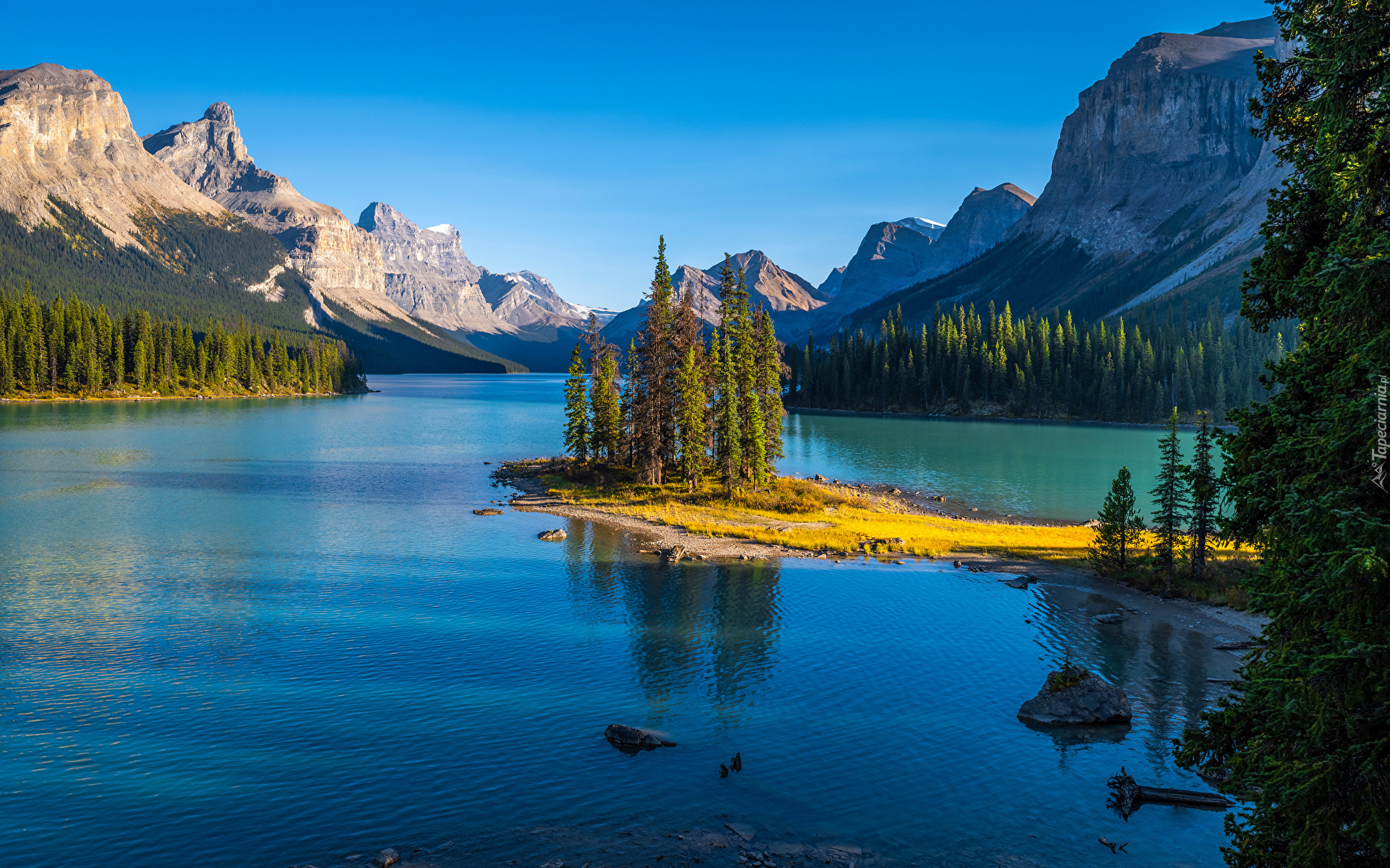 Kanada, Alberta, Park Narodowy Jasper, Jezioro Maligne, Wyspa Ducha, Góry, Drzewa