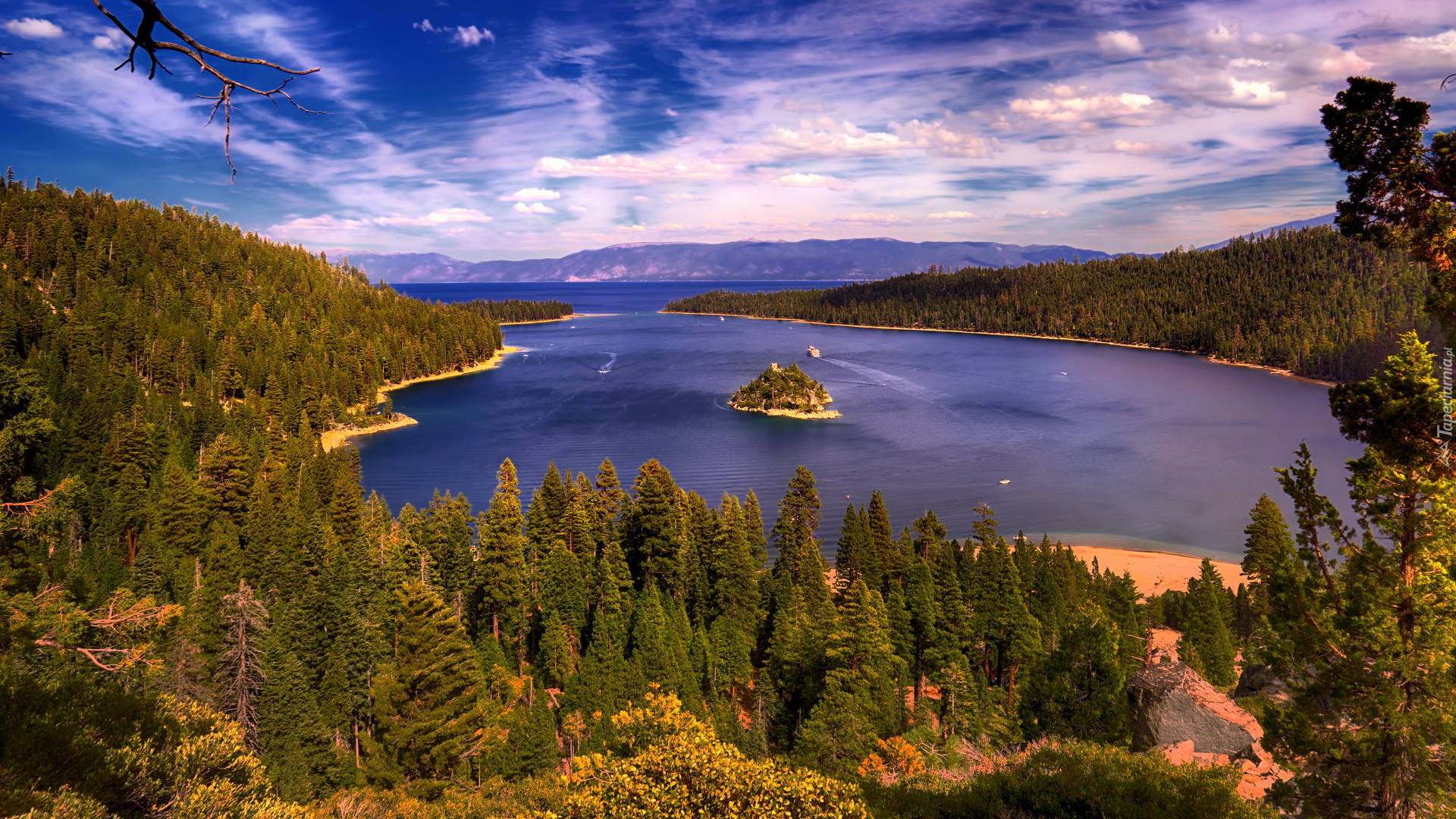 Jezioro Tahoe, Wyspa Fannette, Park Emerald Bay, Lasy, Drzewa, Kalifornia, Stany Zjednoczone