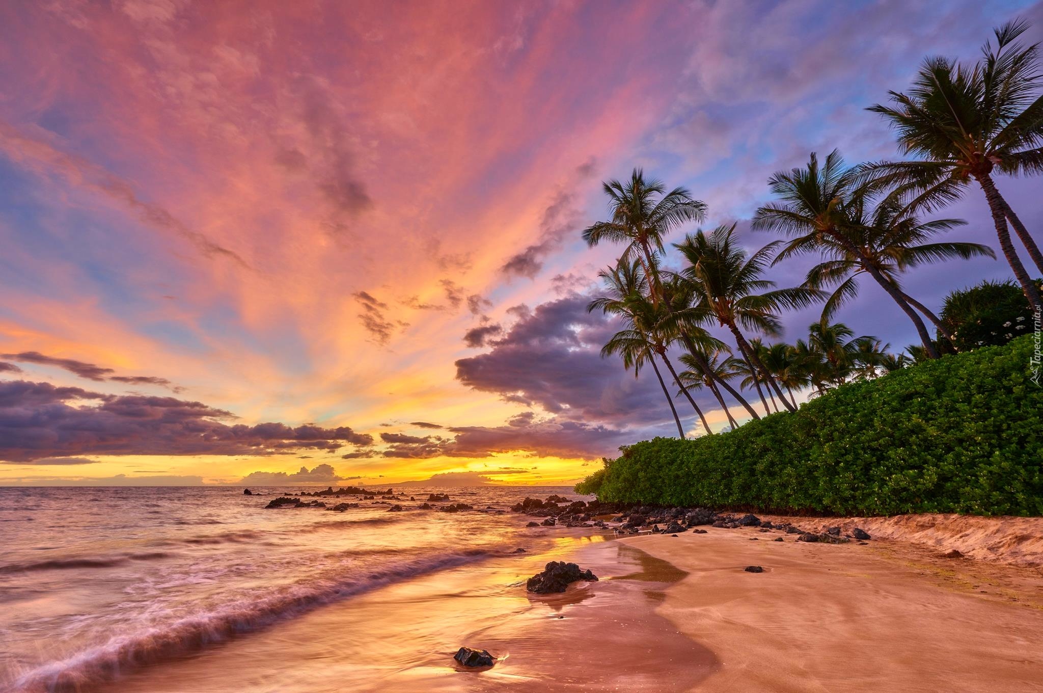 Hawaje, Wyspa Maui, Wybrzeże, Morze, Palmy, Zachód słońca, Chmury
