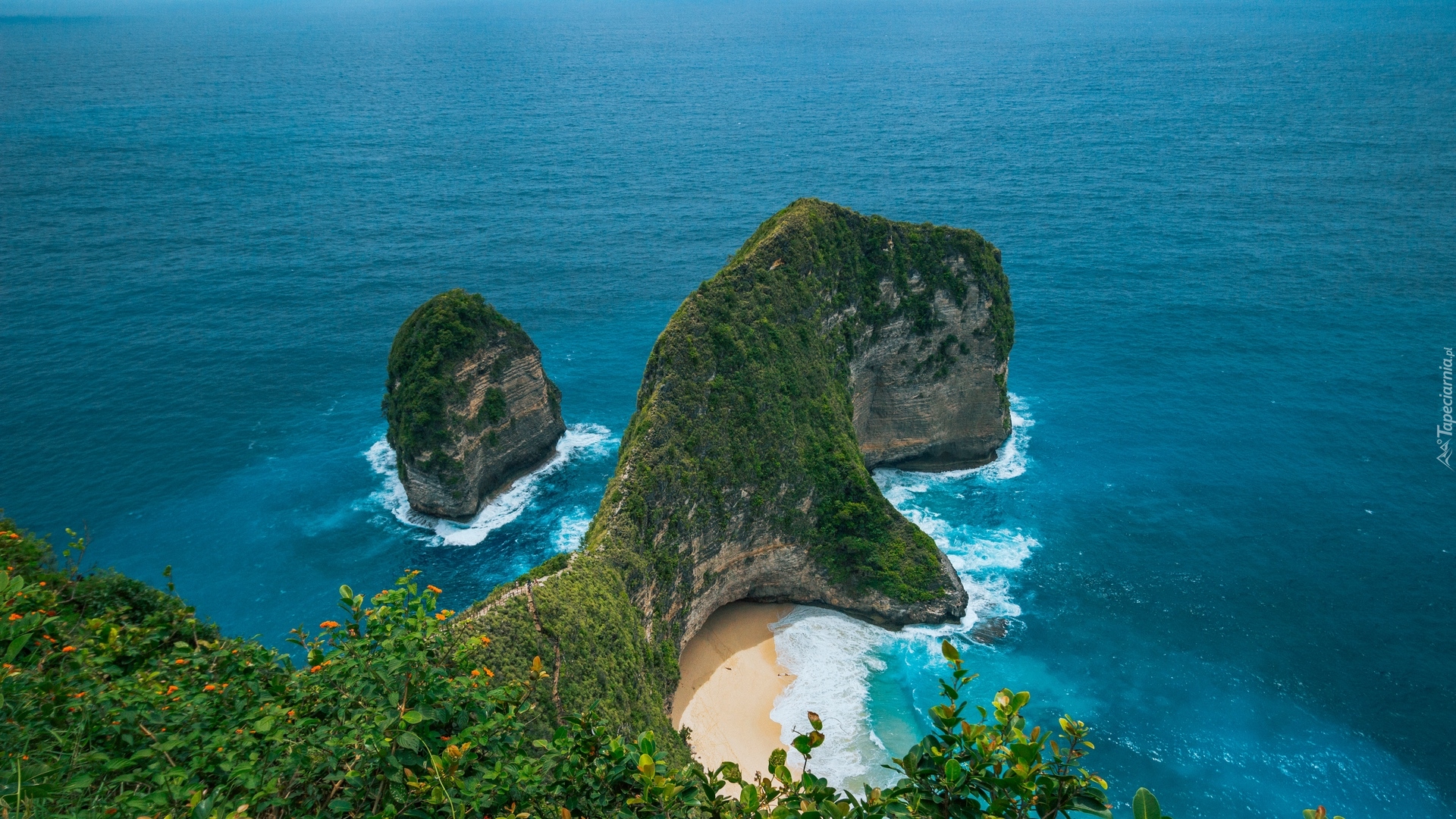 Skały, Klif, Plaża Kelingking Beach, Morze, Roślinność, Nusa Penida, Indonezja