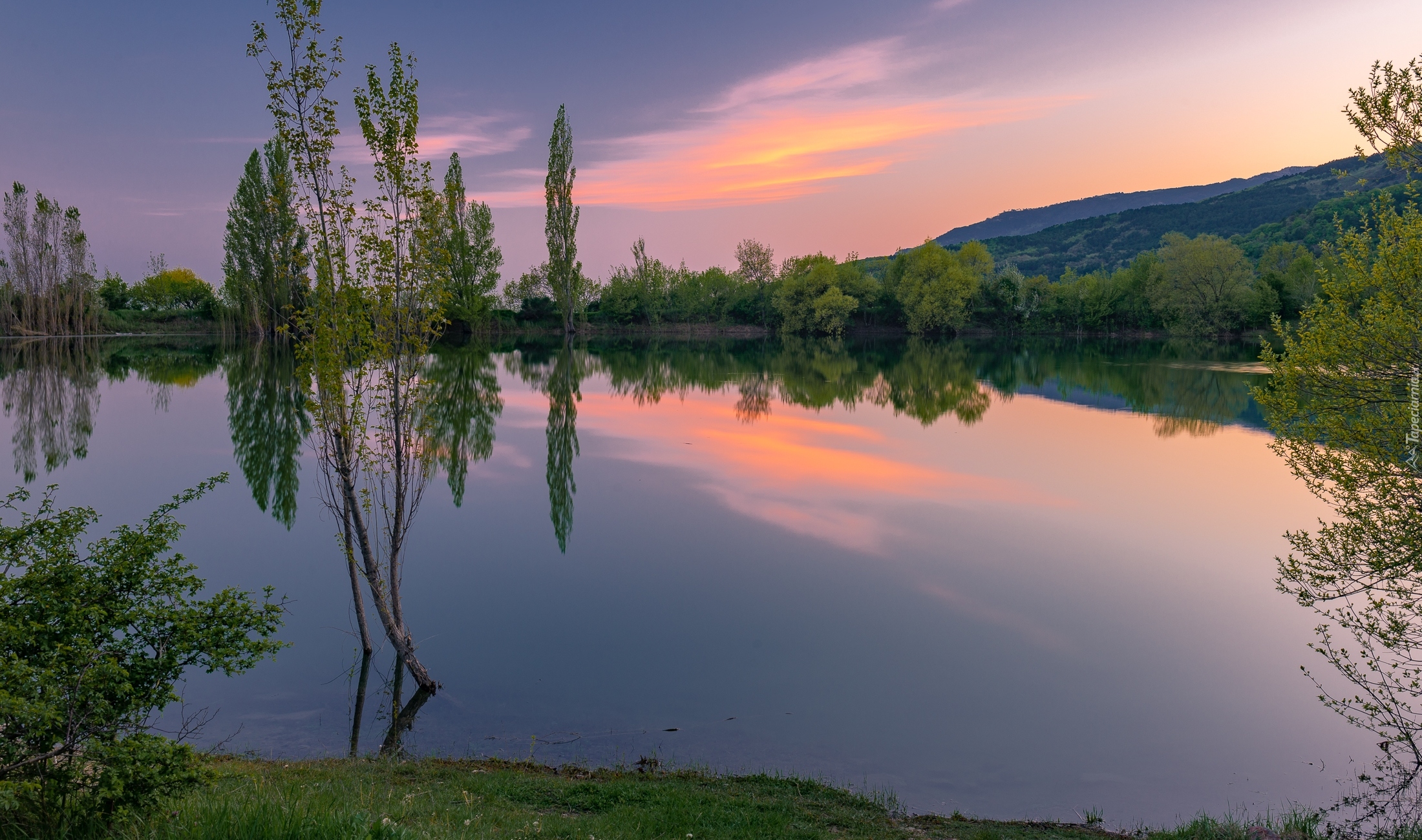 Jezioro, Krzewy, Drzewa, Wzgórza