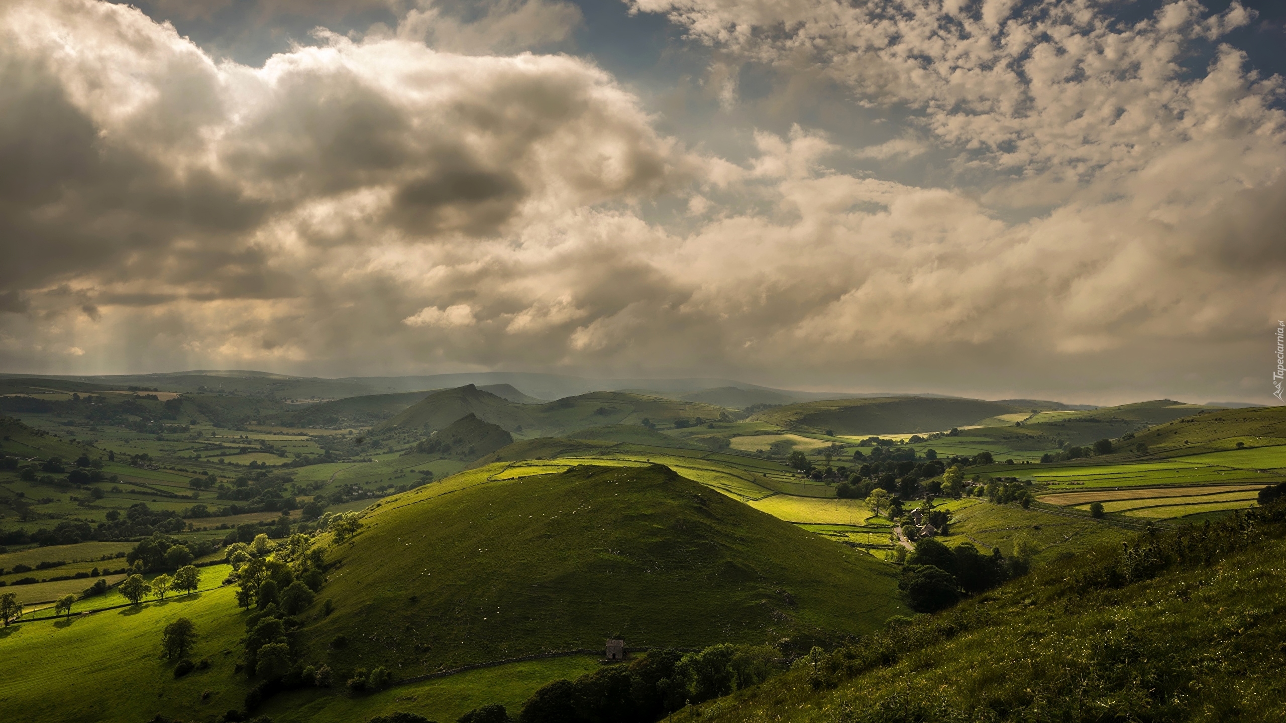 Wzgórza, Pola, Wieś Earl Sterndale, Hrabstwo Derbyshire, Anglia, Chmury, Drzewa