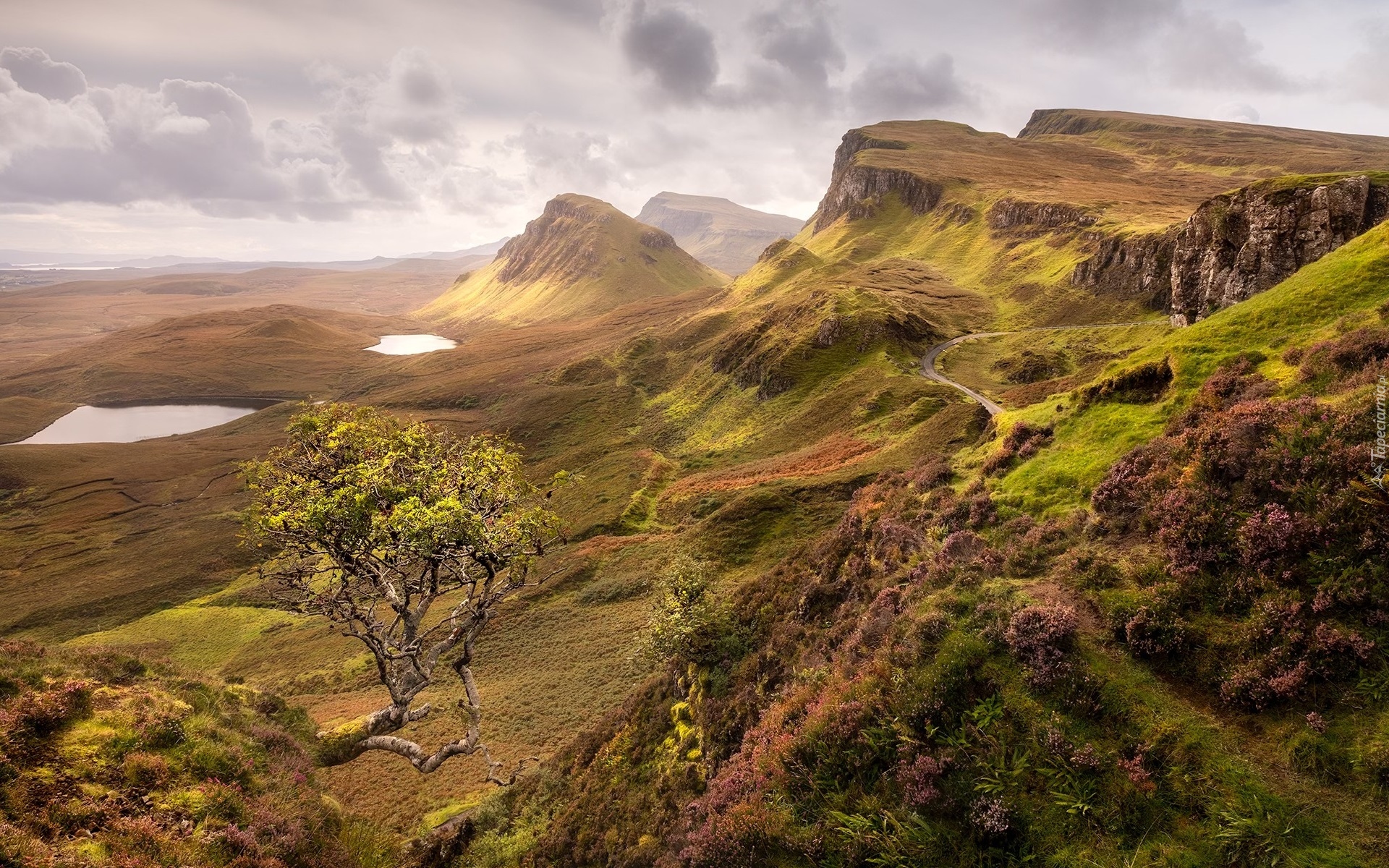 Góry, Wzgórza, Chmury, Jeziora, Drzewo, Wyspa Skye, Wzgórze, Quiraing, Szkocja