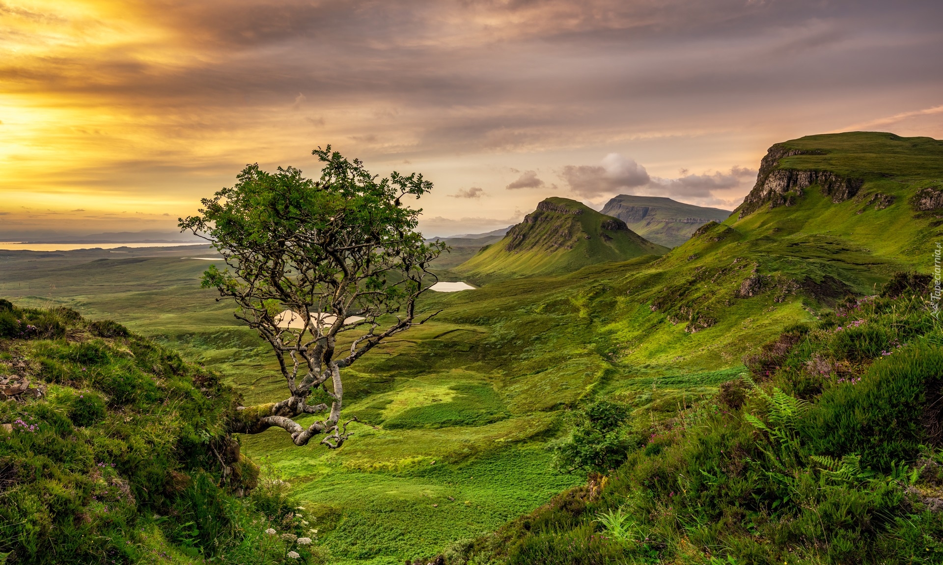 Góry, Wzgórza, Jeziora, Drzewo, Chmury, Wyspa Skye, Wzgórze, Quiraing, Szkocja