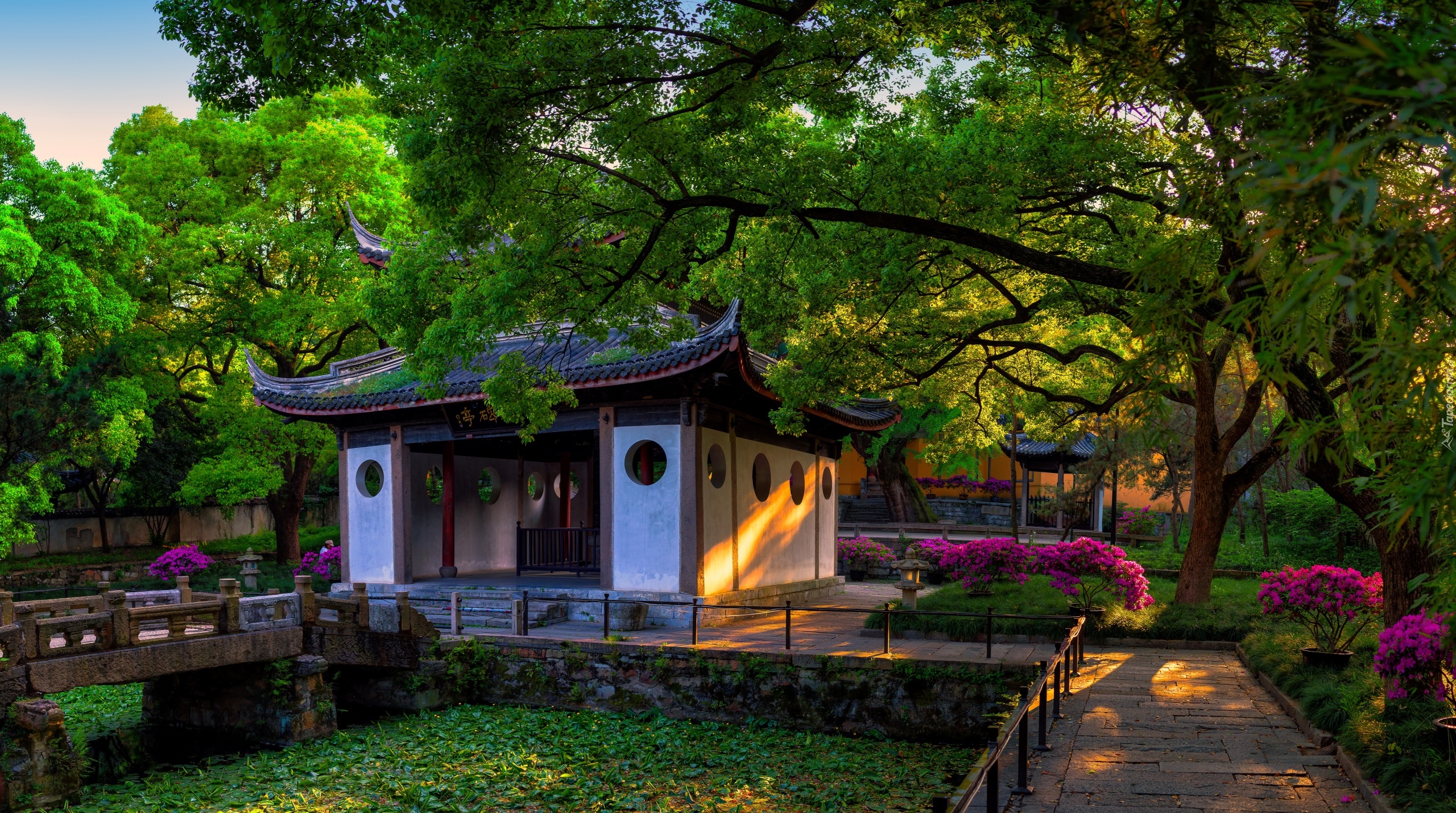Chiny, Prowincja Jiangsu, Okolice Wuxi, Xihui Park, Altana, Drzewa