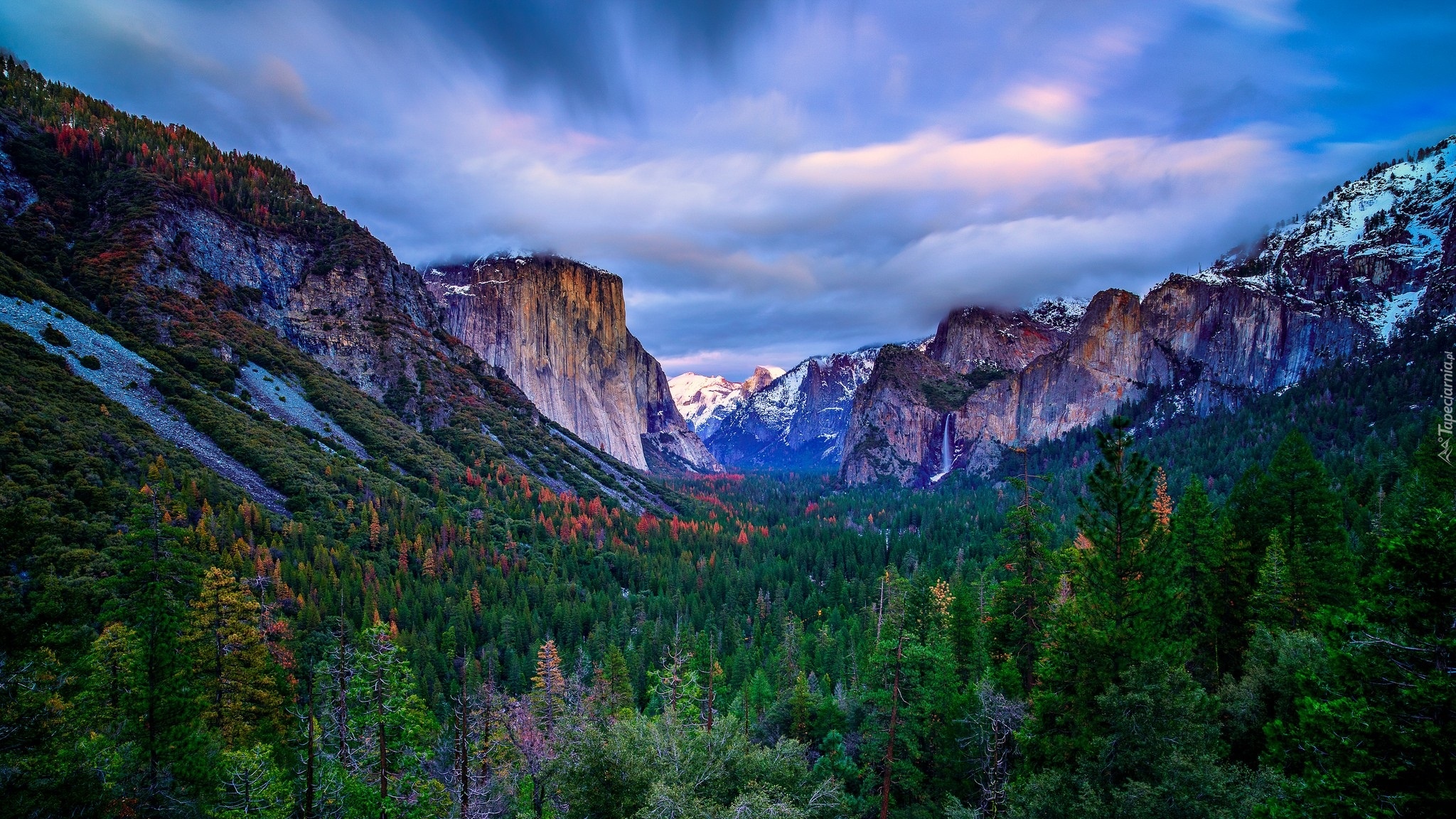 Stany Zjednoczone, Kalifornia, Park Narodowy Yosemite, Góry, Las, Drzewa, Mgła