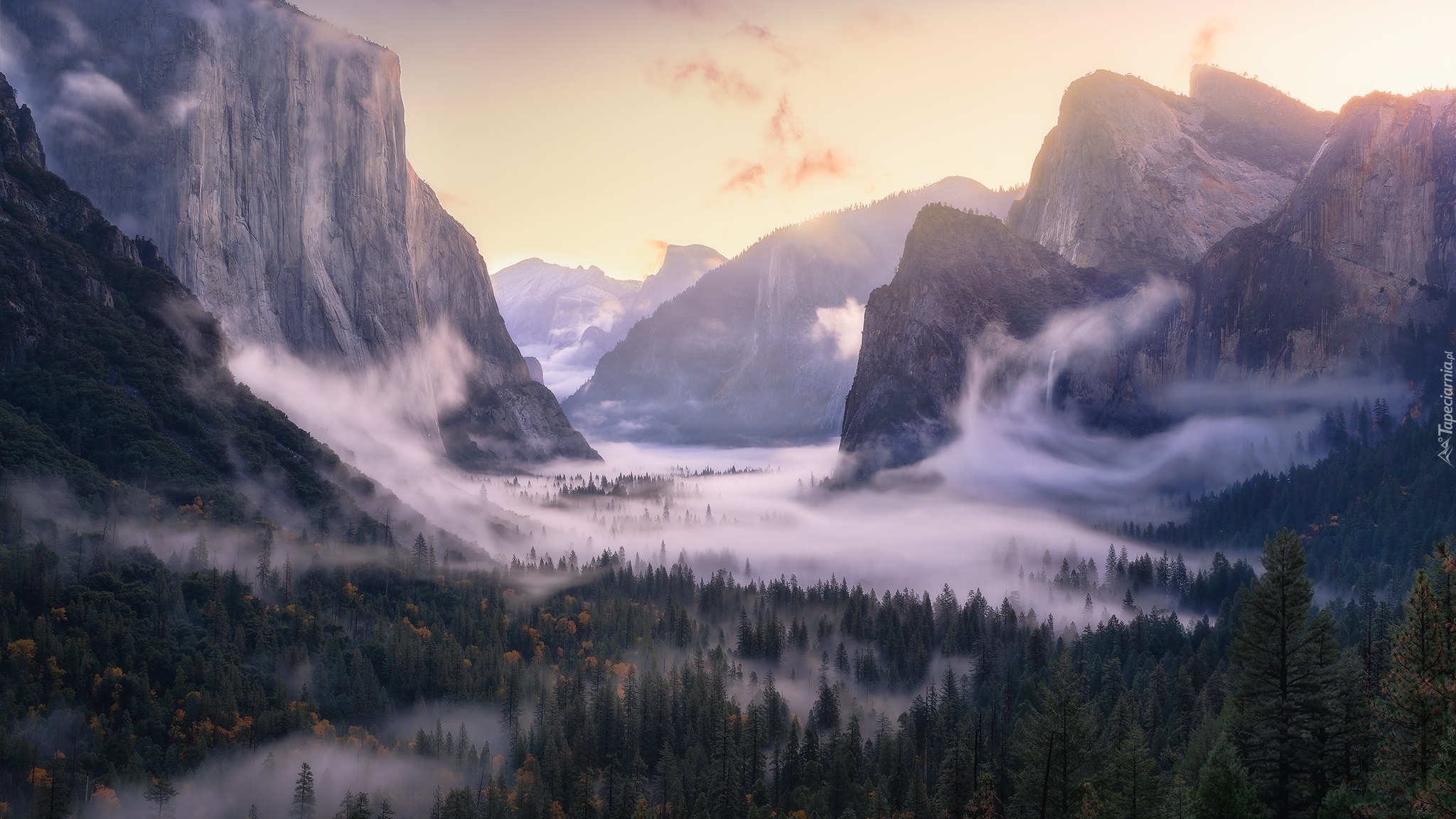 Góry, Las, Opadająca, Mgła, Yosemite Valley, Park Narodowy Yosemite, 
Kalifornia, Stany Zjednoczone