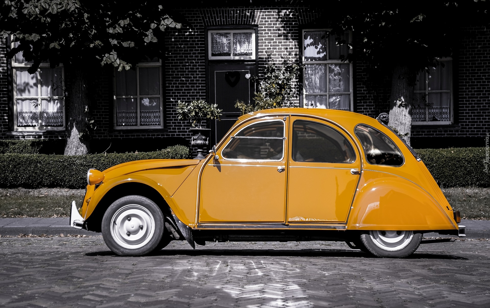 Żółty, Citroën 2CV, Dom