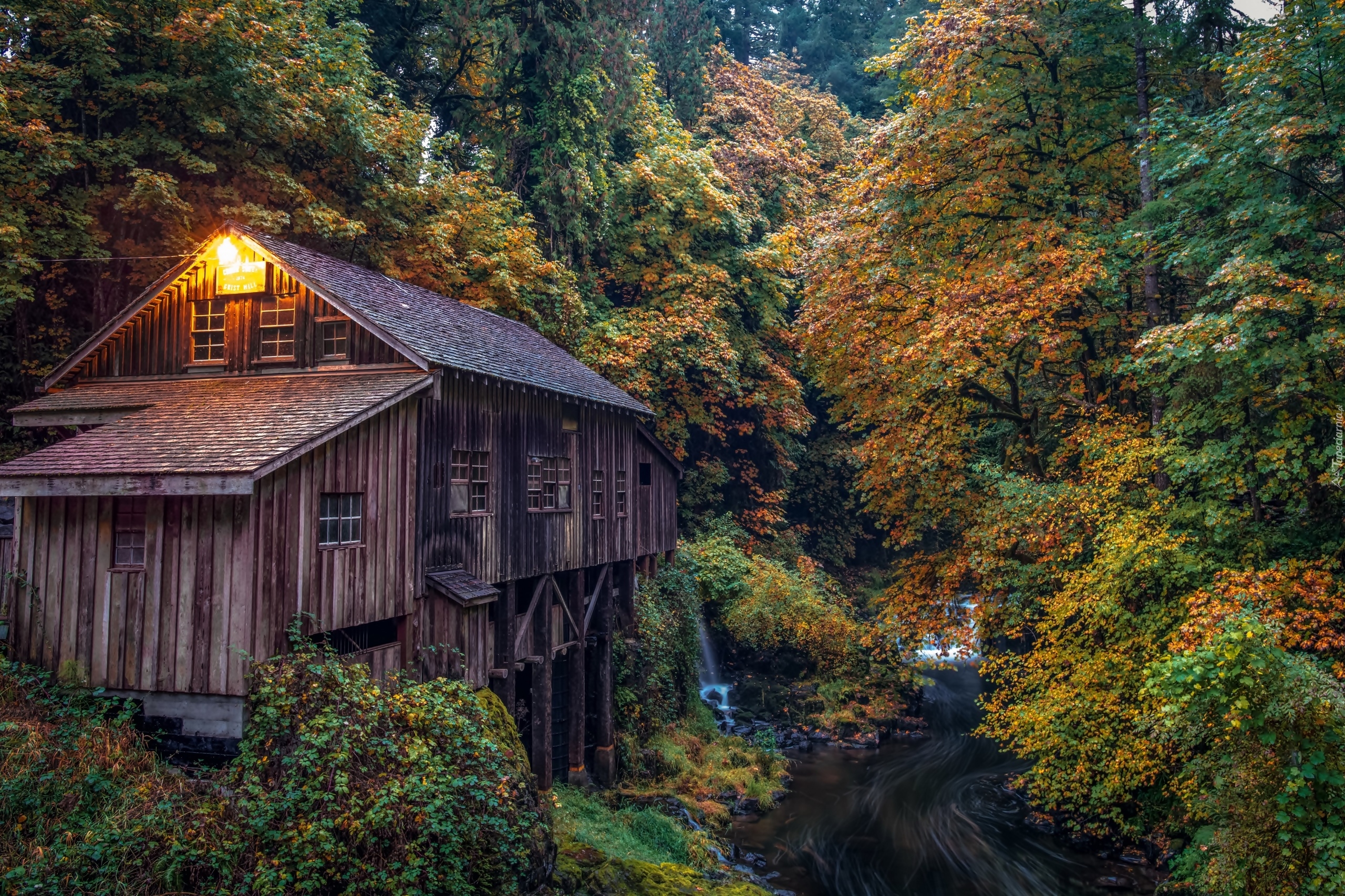 Stany Zjednoczone, Stan Waszyngton, Młyn Cedar Creek Grist Mill, Rzeka, Las, Jesień