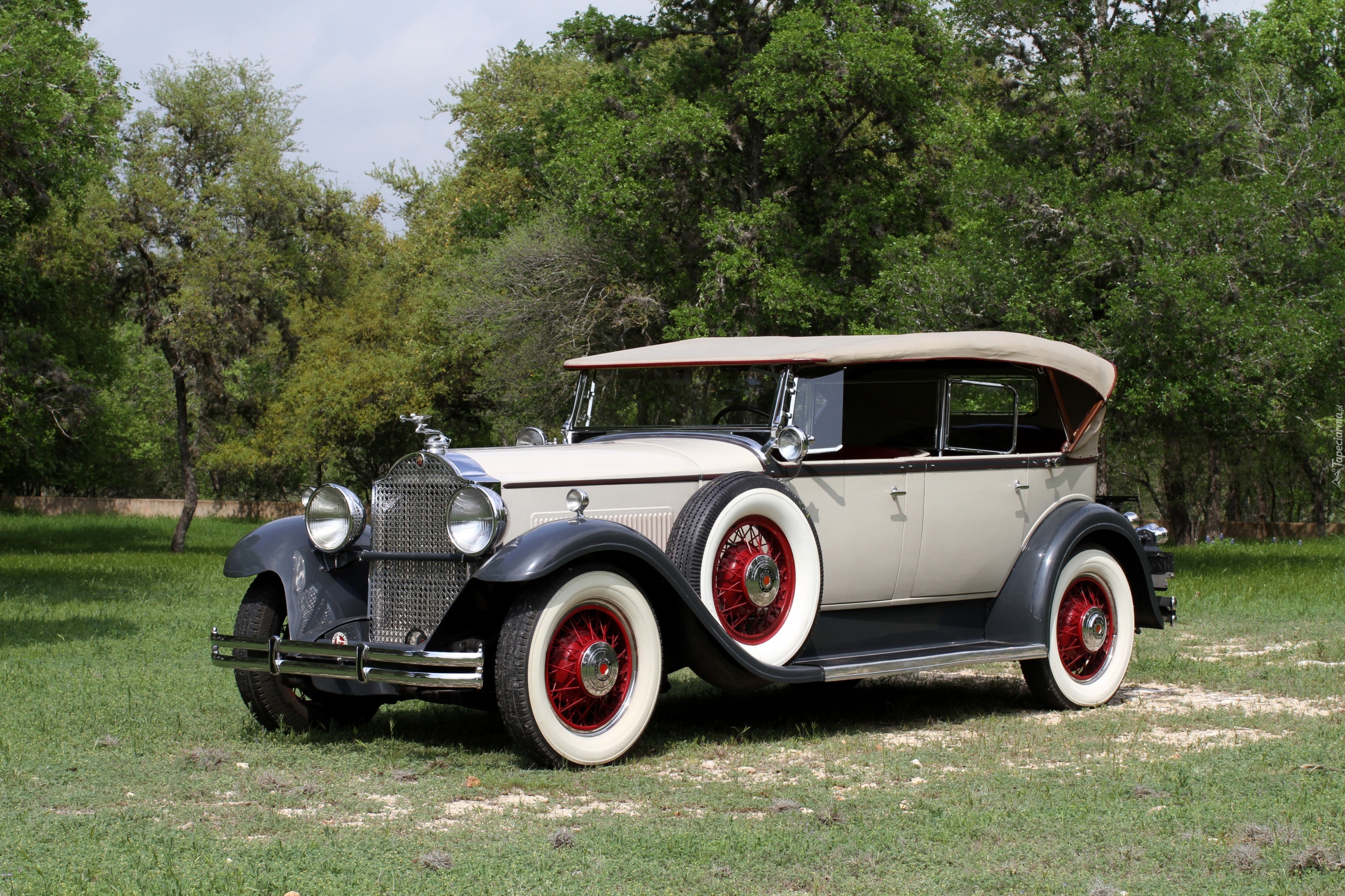 Packard Standard 8 Convertible Coupe, 1931