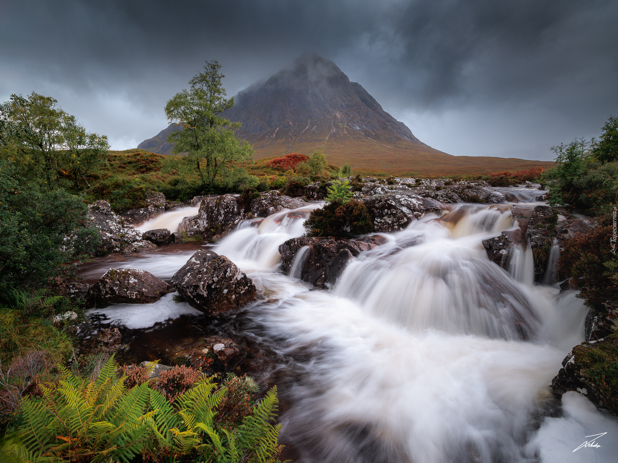 Szkocja, Region Highlands, Góra, Buachaille Etive Mór, Chmury, Rzeka, Kamienie, Drzewa, Paprocie