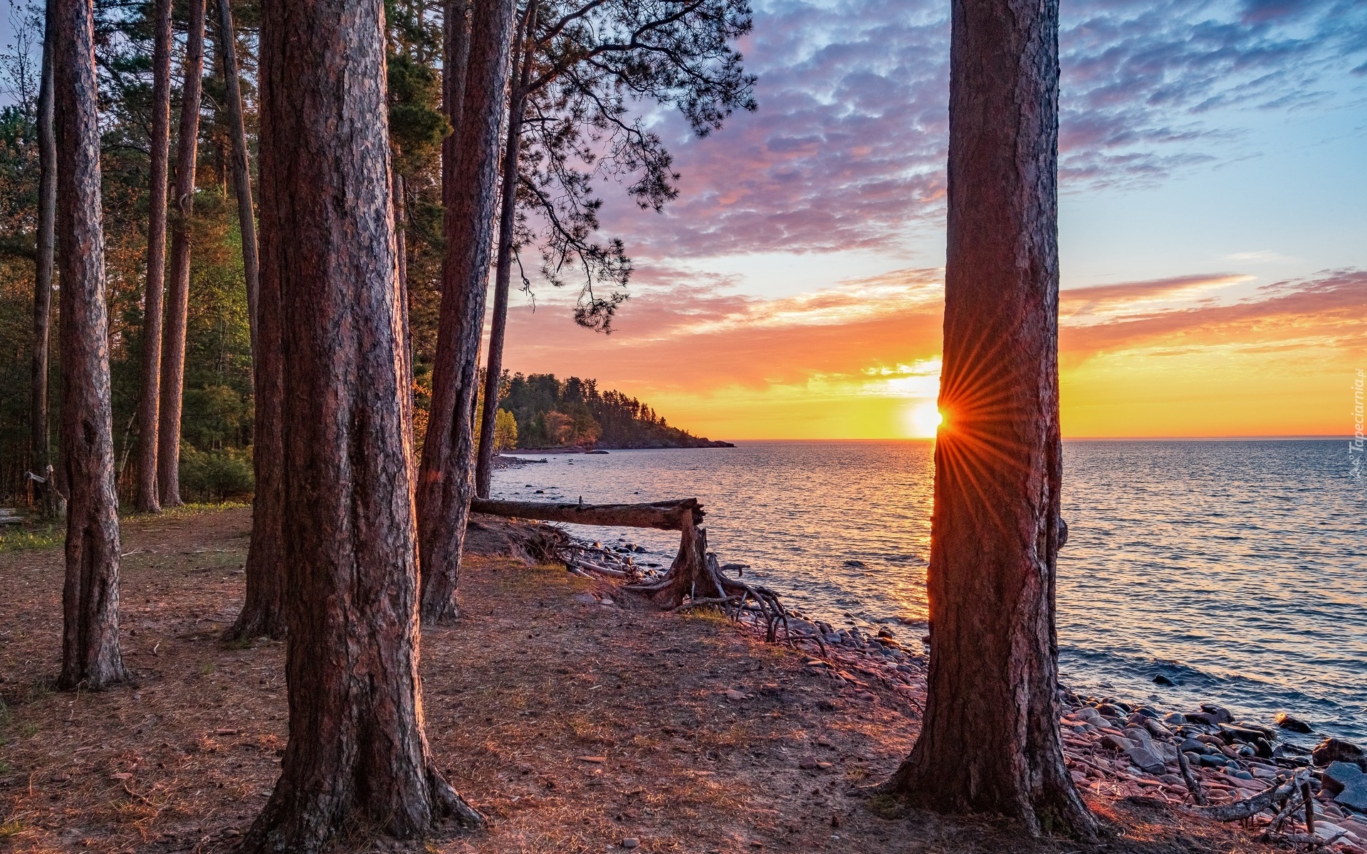 Stany Zjednoczone, Stan Michigan, Marquette, Jezioro, Superior Lake, Las, Drzewa, Zachód słońca