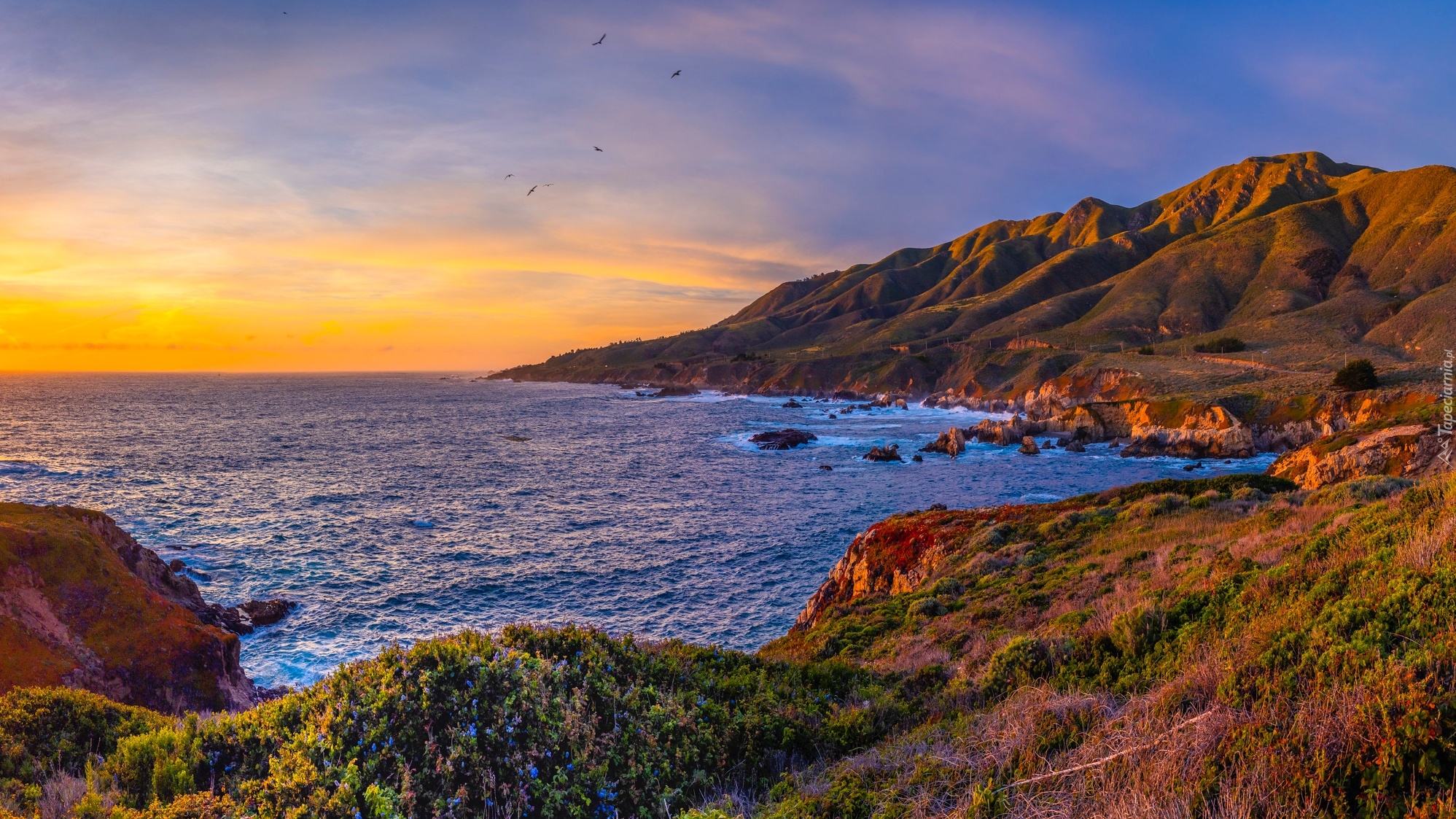 Stany Zjednoczone, Kalifornia, Morze, Wybrzeże, Big Sur, Skały, Zachód słońca