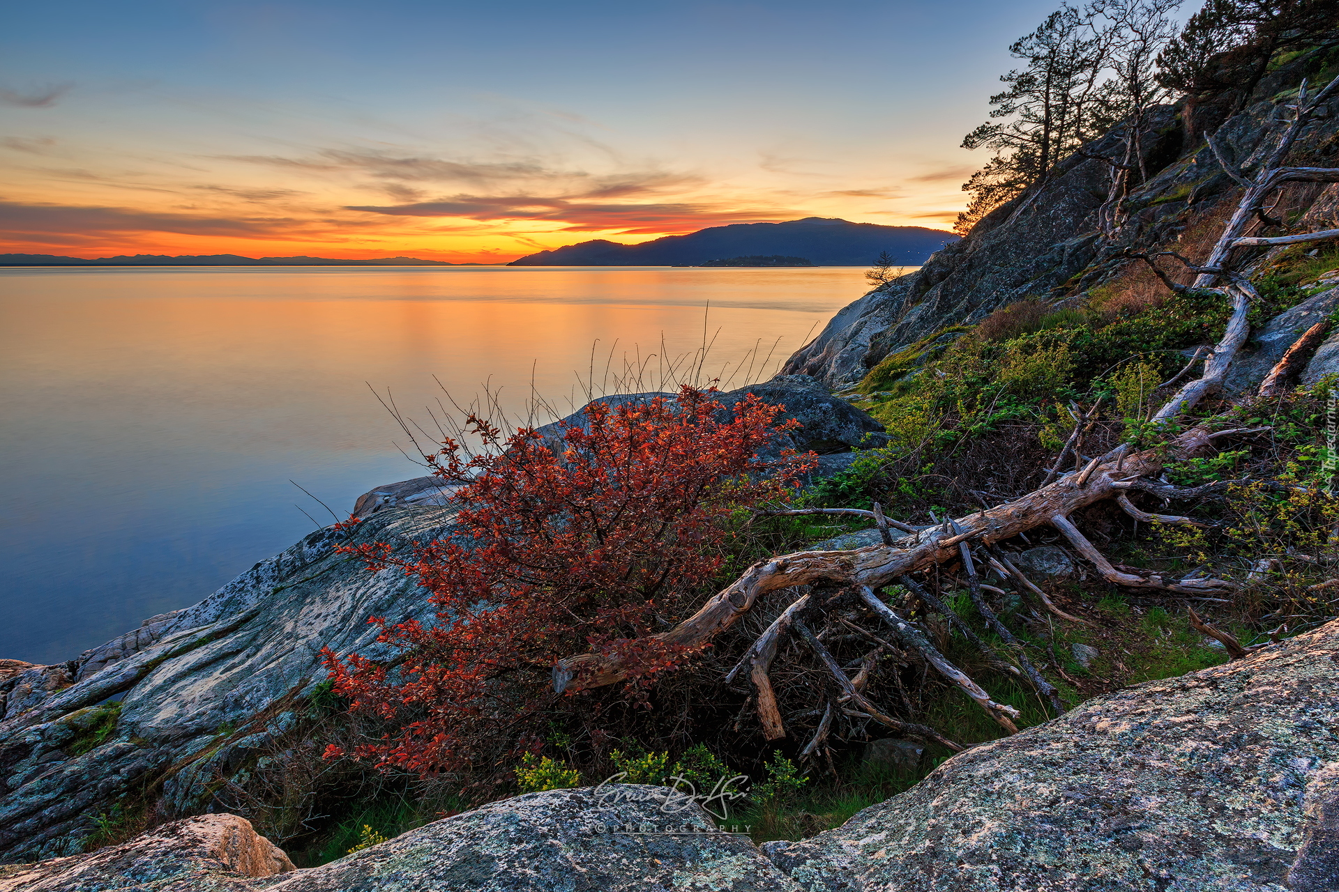 Zachód słońca, Drzewa, Rośliny, Skała, Cieśnina Strait of Georgia, Vancouver, Kanada