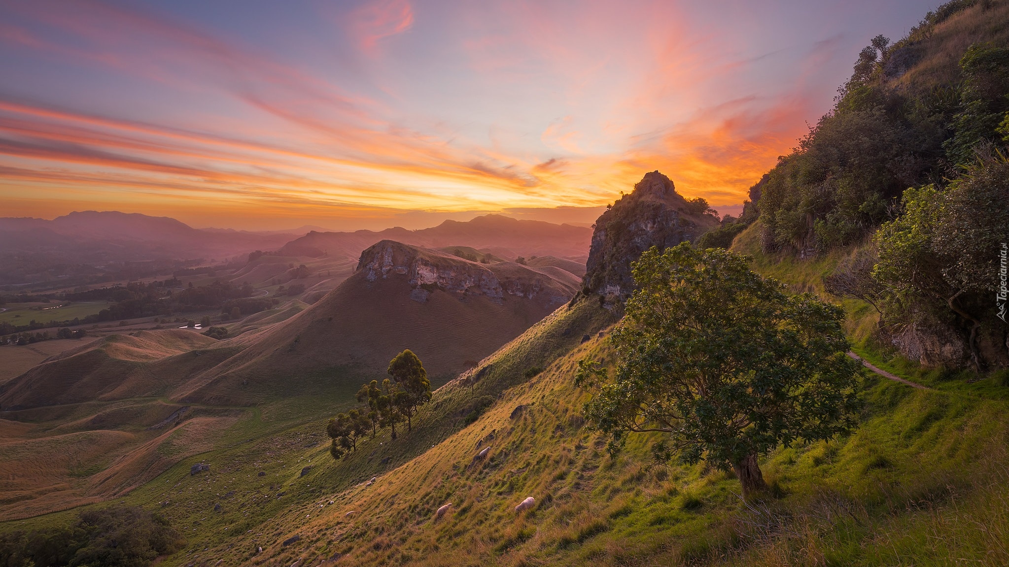 Nowa Zelandia, Region Hawkes Bay, Góry Te Mata Peak, Wzgórza, Góry, Zachód słońca, Drzewa