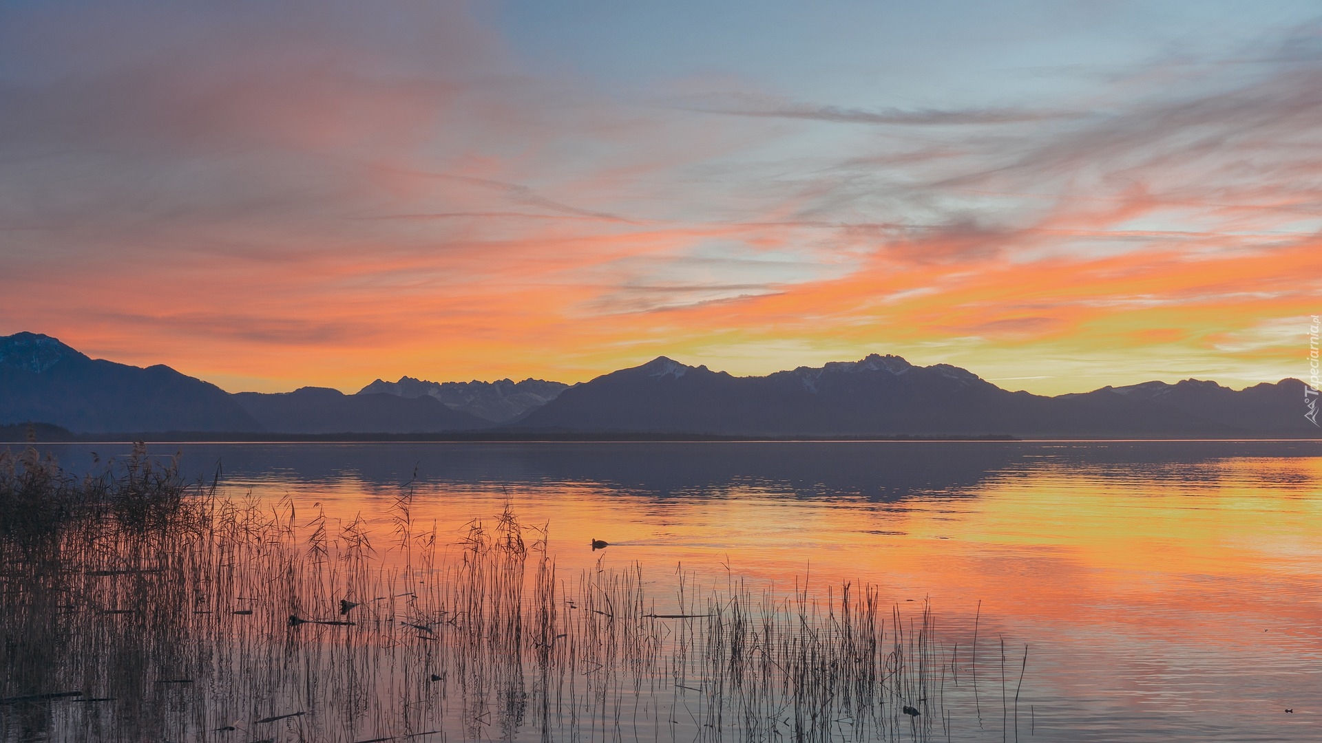 Zachód słońca, Jezioro Chiemsee, Góry, Trawa, Bawaria, Niemcy