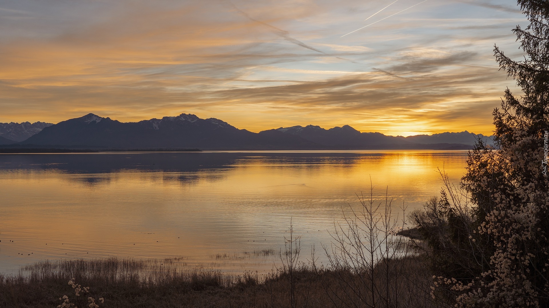 Zachód słońca, Jezioro Chiemsee, Góry, Drzewa, Bawaria, Niemcy