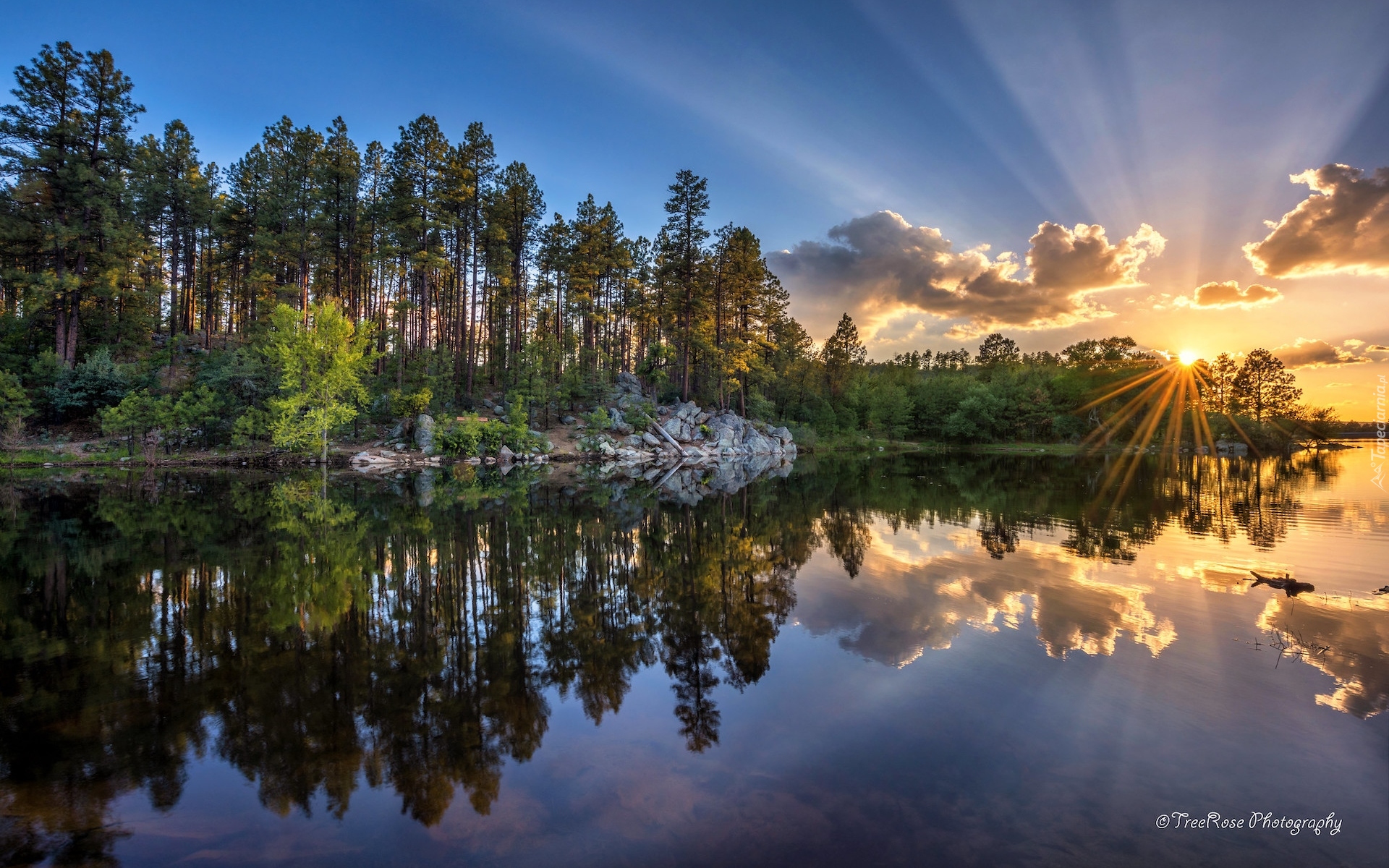 Zachód słońca, Promienie słońca, Jezioro, Goldwater Lake, Drzewa, Gałęzie, Prescott, Stan Arizona, Stany Zjednoczone