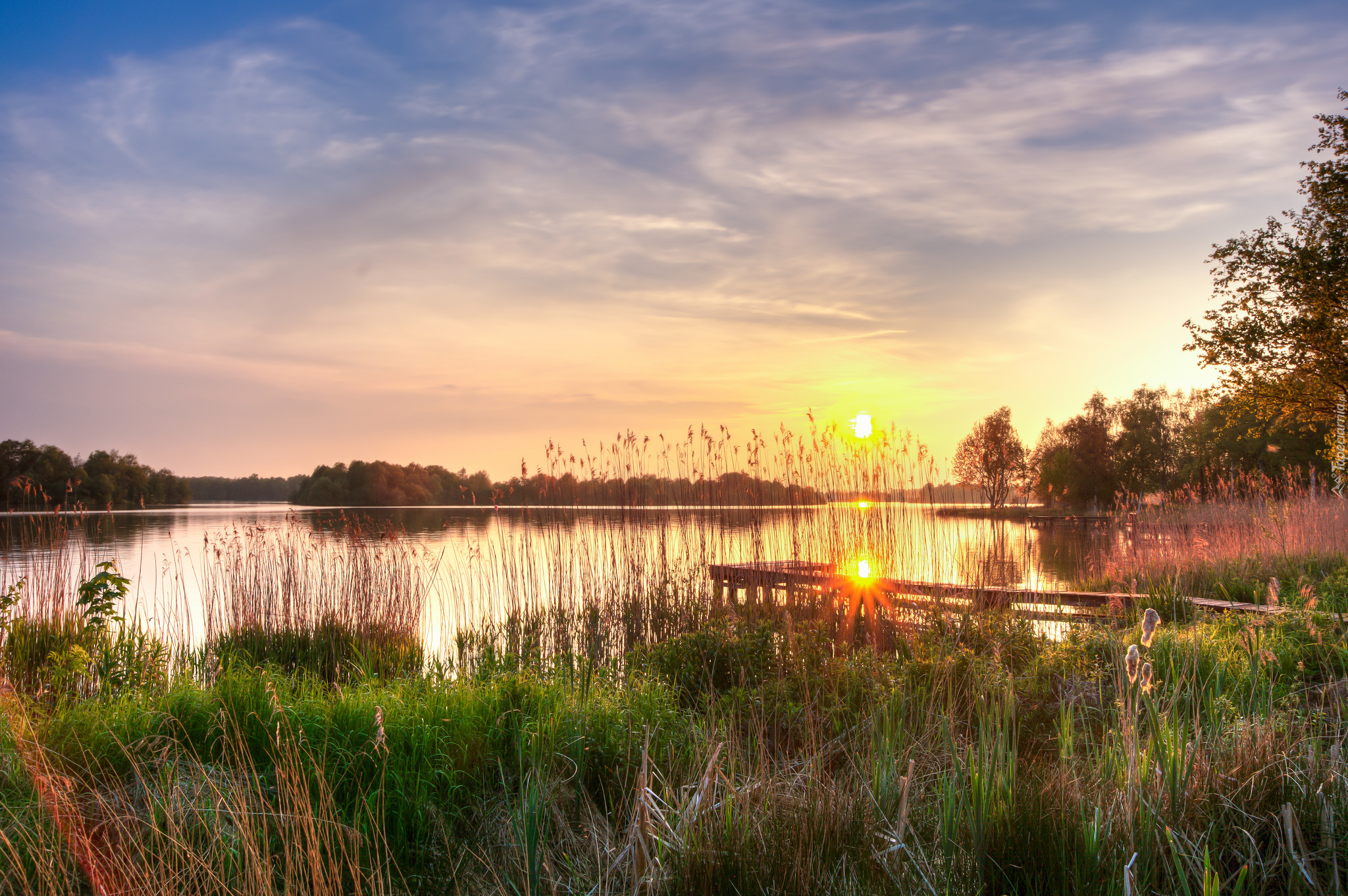 Jezioro Hoornsemeer, Zachód słońca, Trzciny, Szuwary, Pomost, Trawa, Prowincja Groningen, Holandia