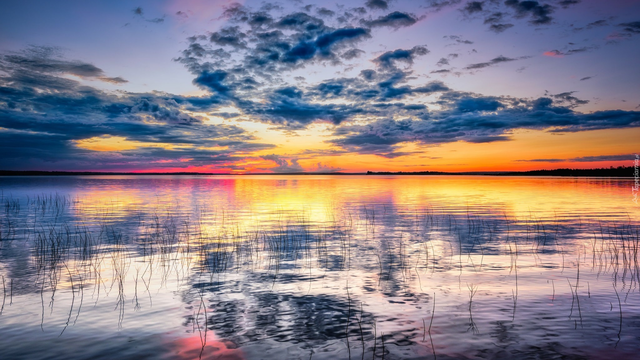 Finlandia, Jezioro Oijärvi, Trawy, Zachód słońca