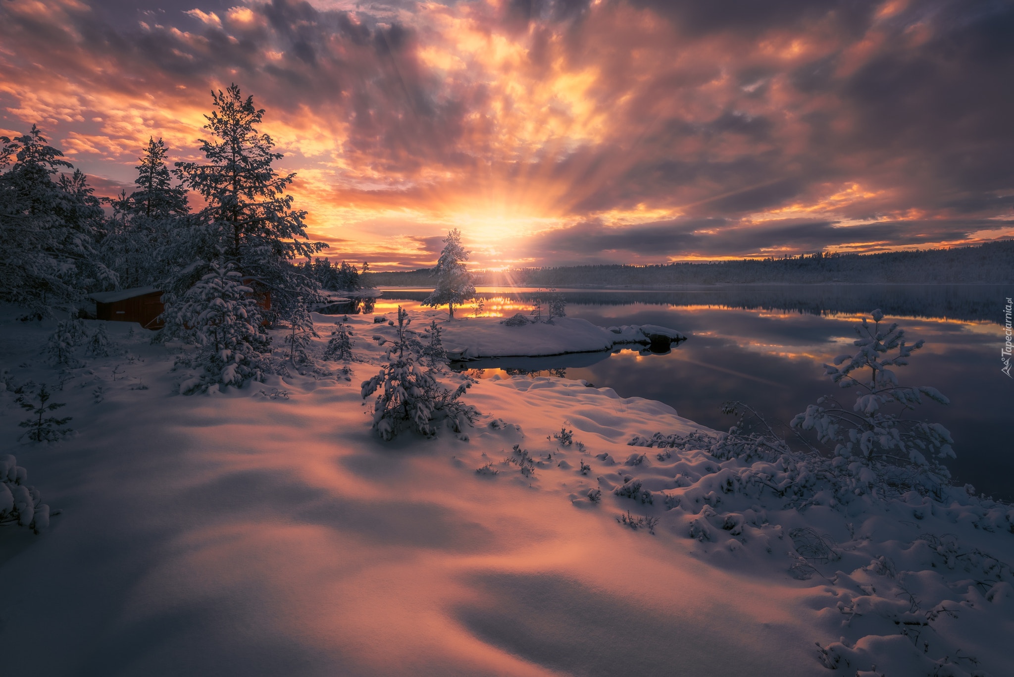 Norwegia, Ringerike, Zima, Jezioro, Drzewa, Zachód słońca