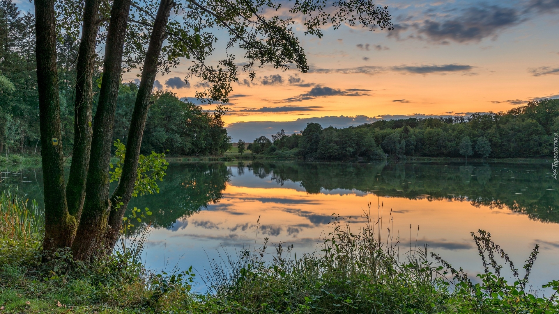 Jezioro, Drzewa, Trawa, Zachód słońca, Chmury, Odbicie