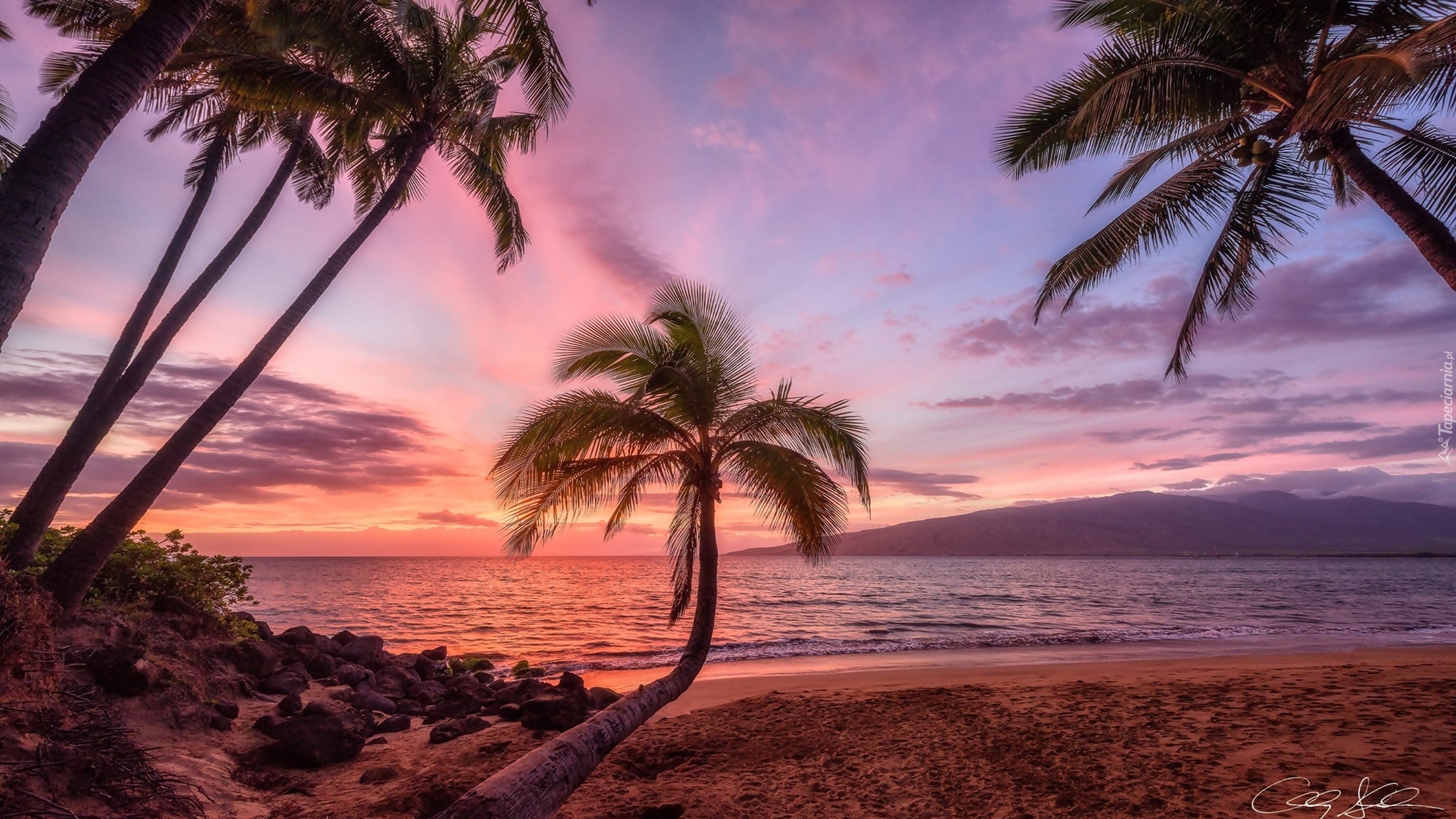 Hawaje, Morze, Palmy, Zachód słońca
