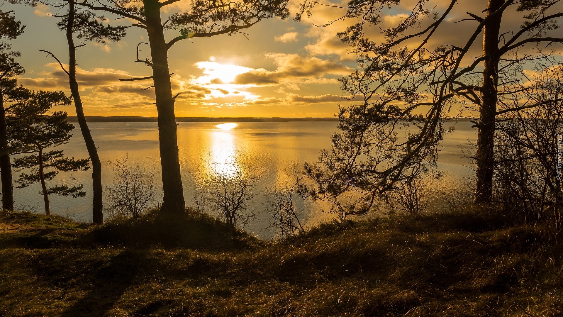 Zachód słońca, Morze Bałtyckie, Wyspa Uznam, Drzewa
