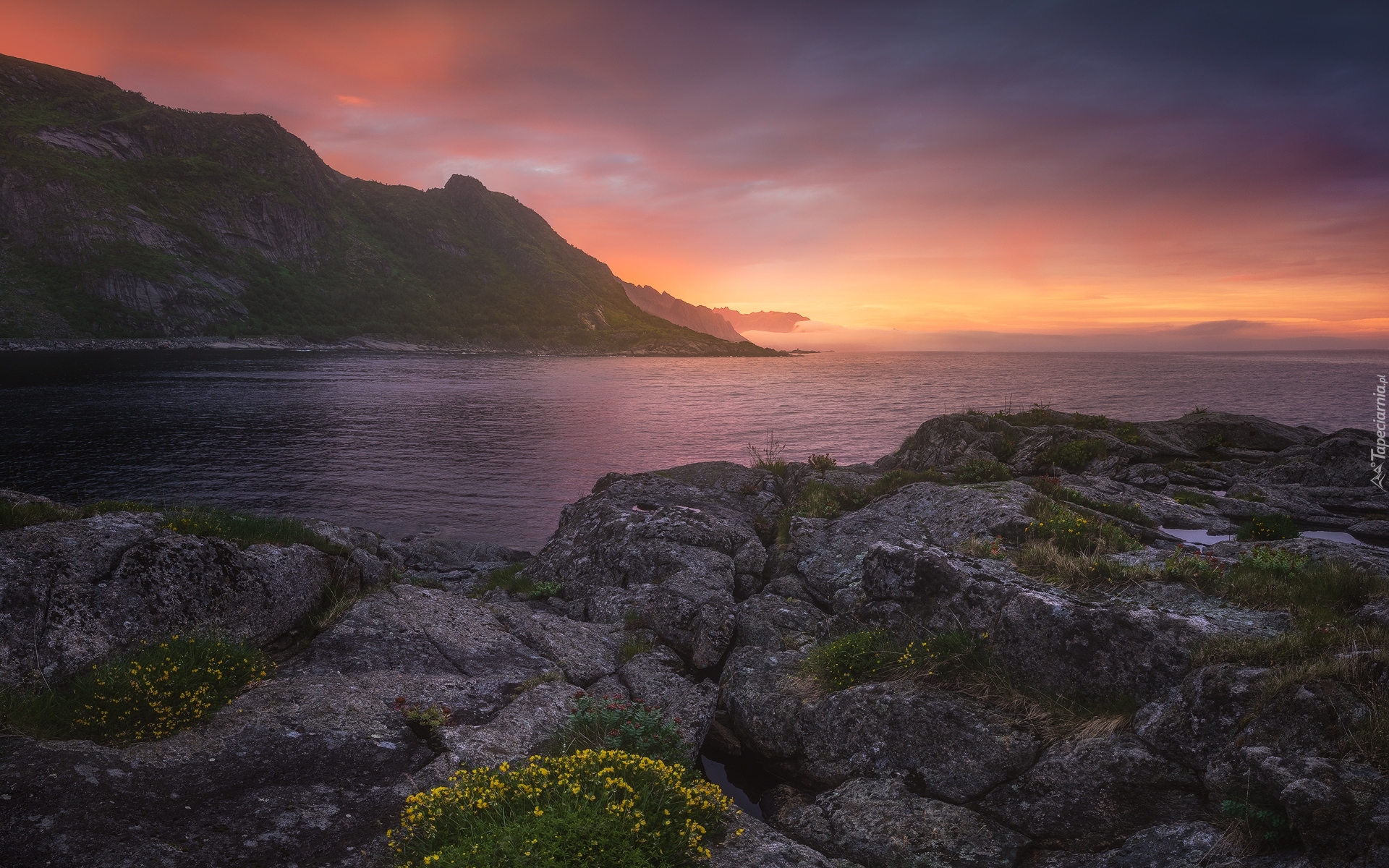 Morze Norweskie, Skały, Góry, Roślinność, Zachód słońca, Gmina Moskenes, Region Nordland, Norwegia