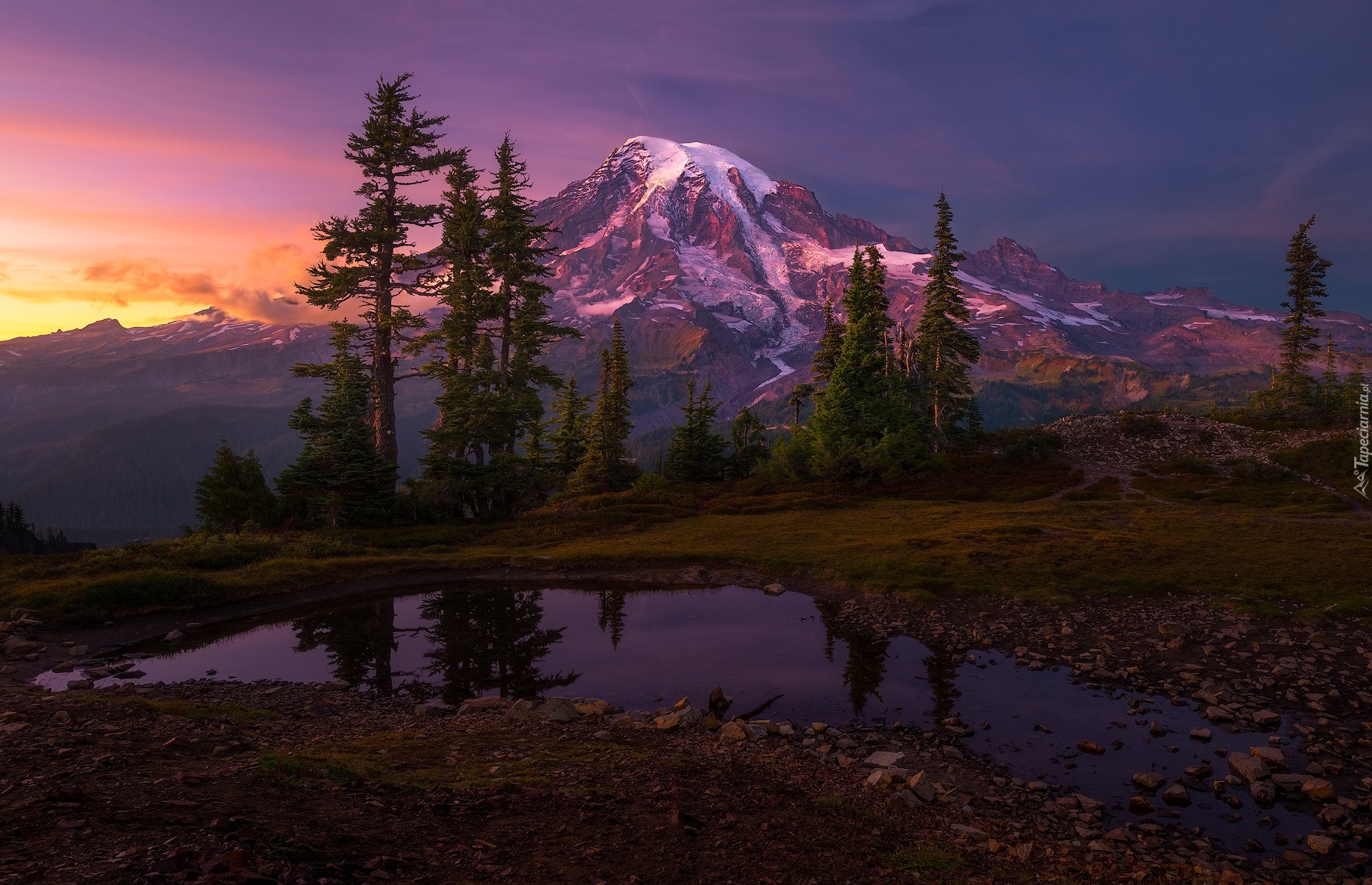 Stany Zjednoczone, Waszyngton, Mount Rainier, Las, Niebo, Góry, Drzewa, Kamienie, Zachód słońca