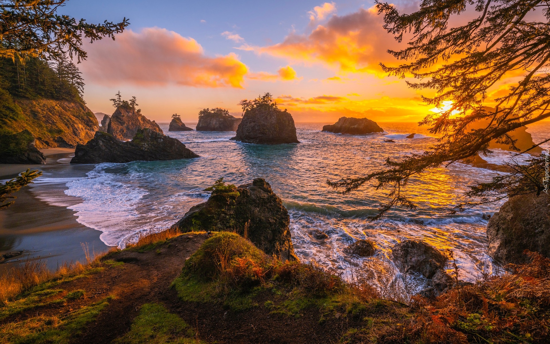 Zachód słońca, Morze, Wysepki, Skały, Drzewa, Wybrzeże Park stanowy, Samuel H Boardman State Scenic Corridor, Oregon, Stany Zjednoczone