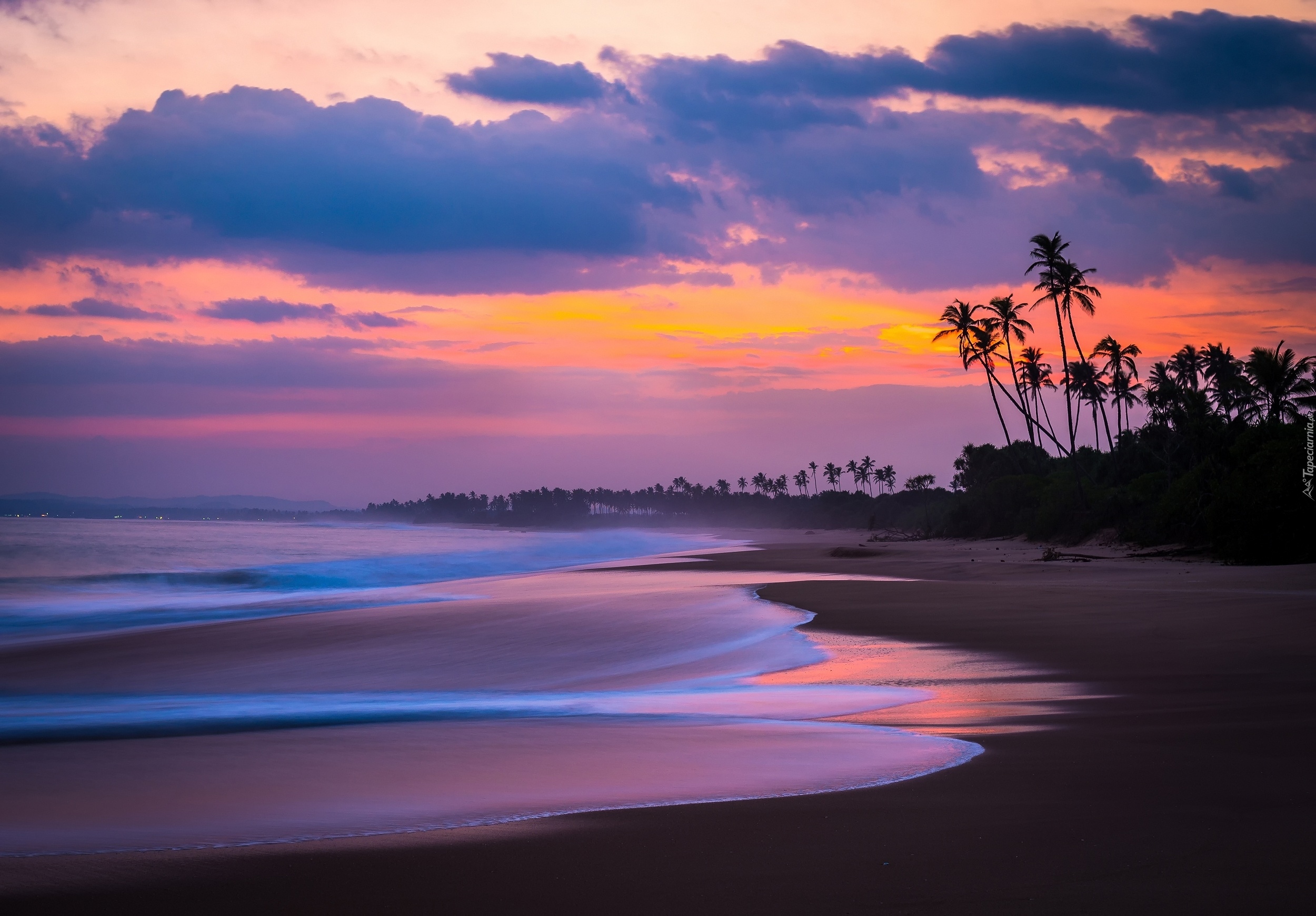Sri Lanka, Plaża, Ocean, Zachód Słońca, Palmy