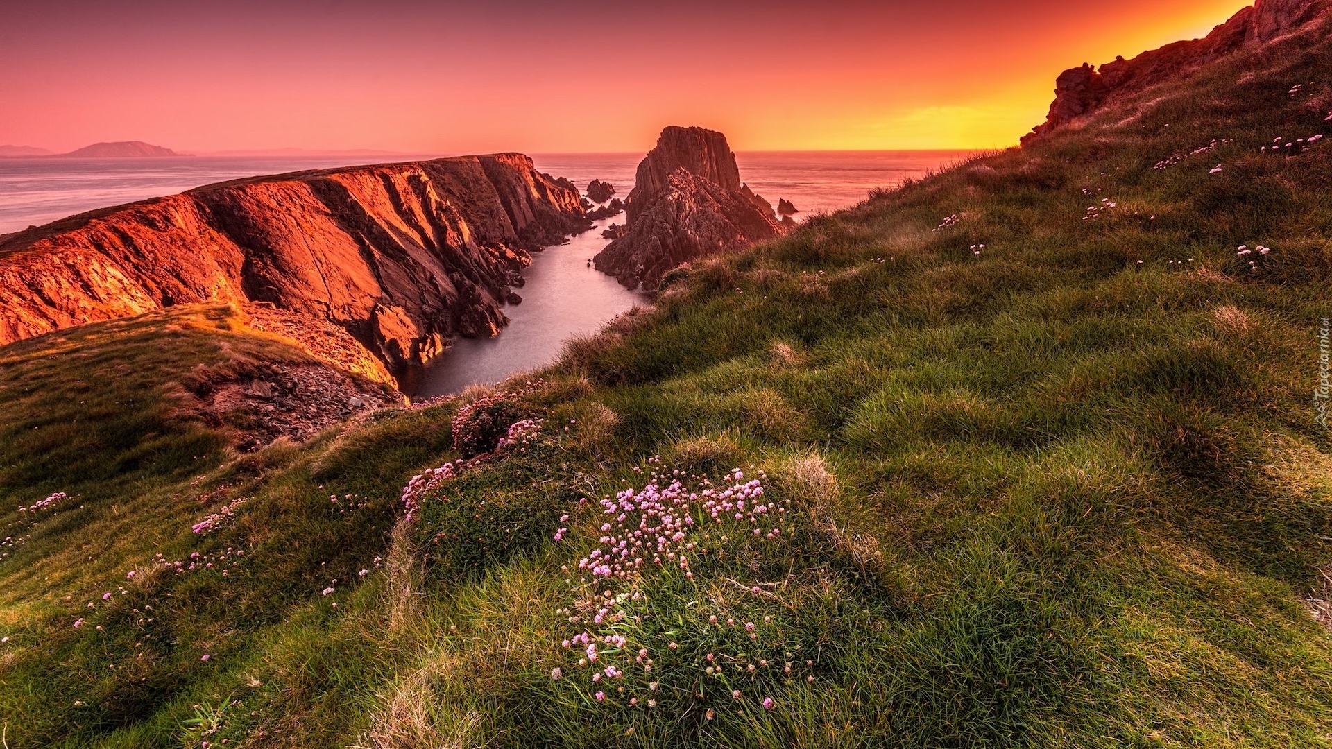 Zachód słońca, Morze, Skały, Łąka, Kwiaty, Trawy, Hrabstwo Donegal, Przylądek Malin Head, Irlandia