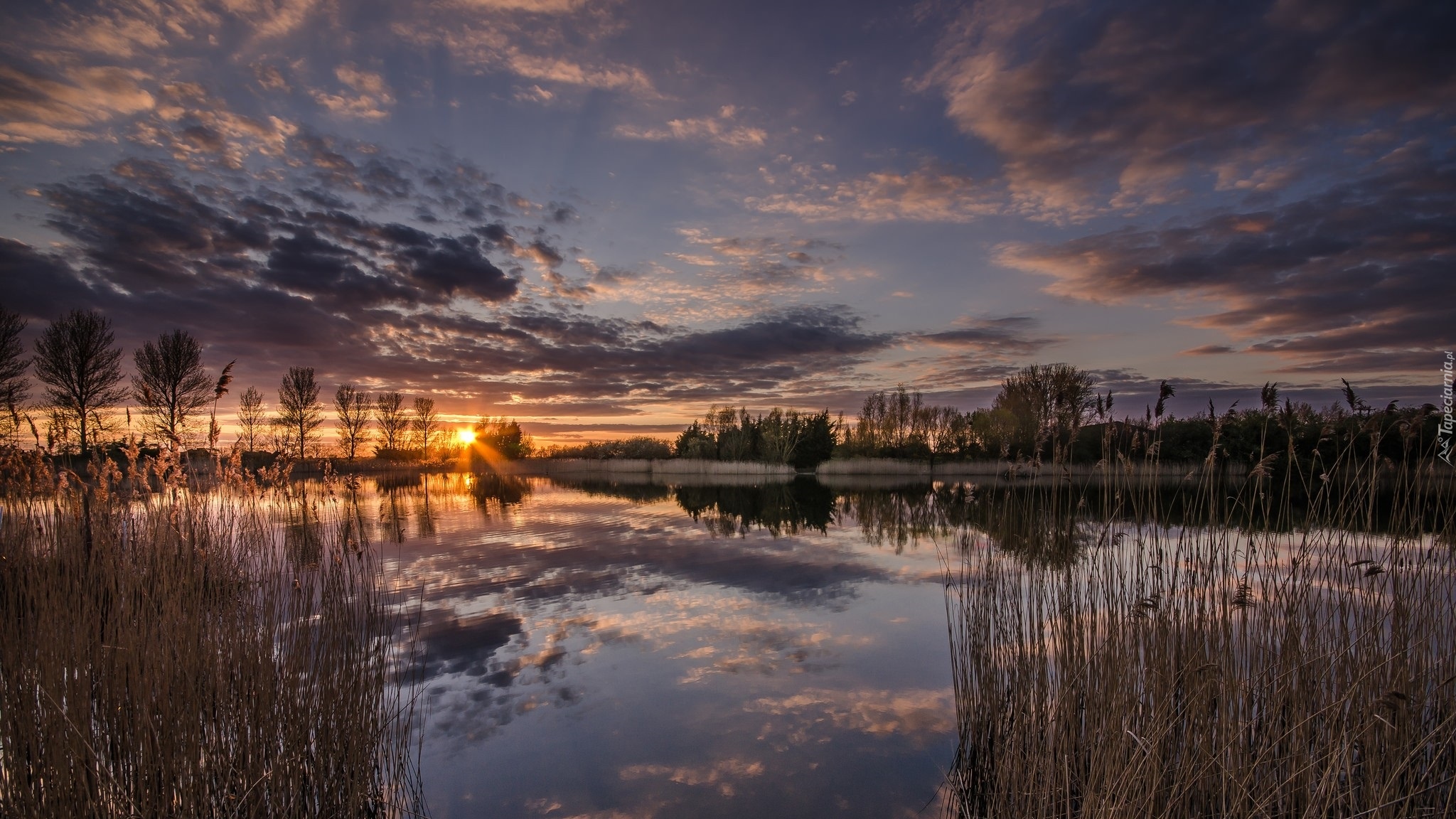 Anglia, Maidstone, Rzeka Medway, Drzewa, Trawy, Zachód słońca Anglia