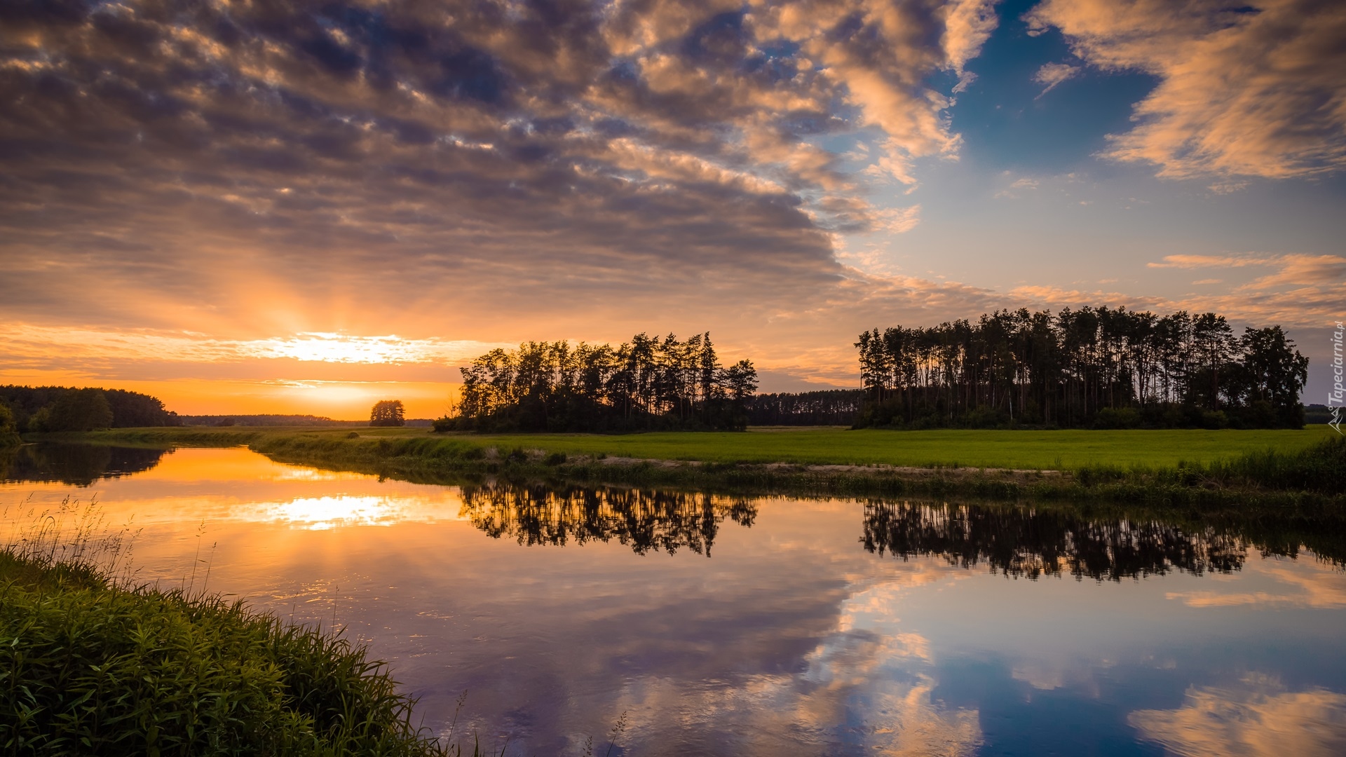 Rzeka, Narew, Drzewa, Krzewy, Zachód słońca, Chmury, Polska